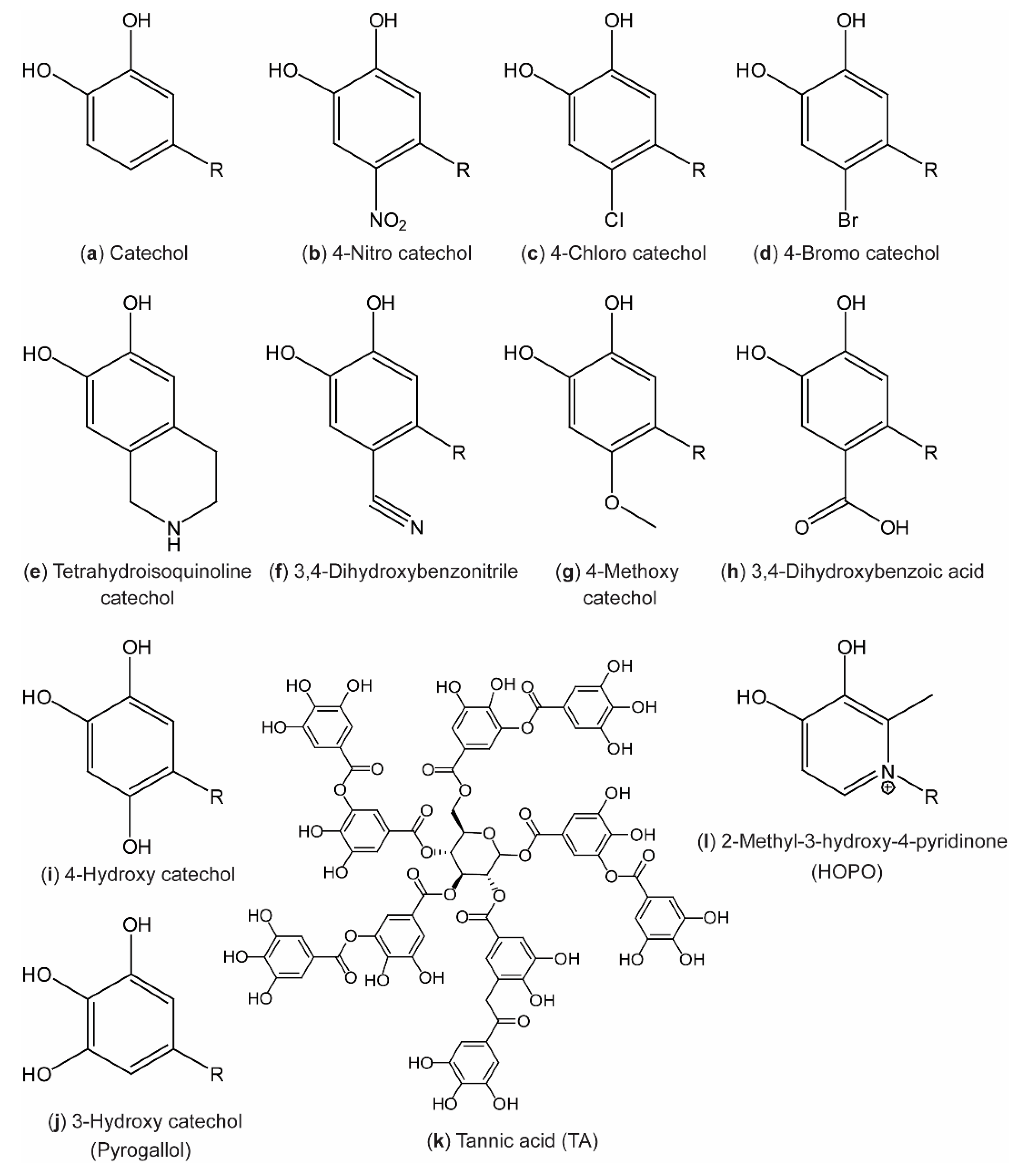 Biomimetics 04 00030 g002