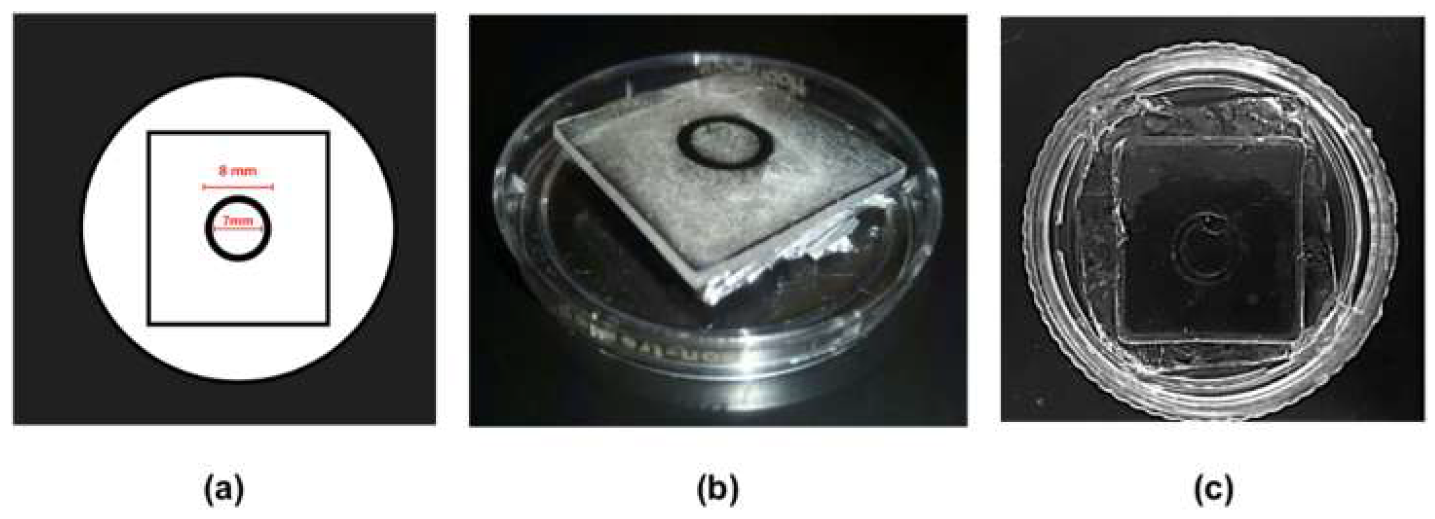 Biomimetics 04 00033 g001 Biomimetics 04 00033 g001