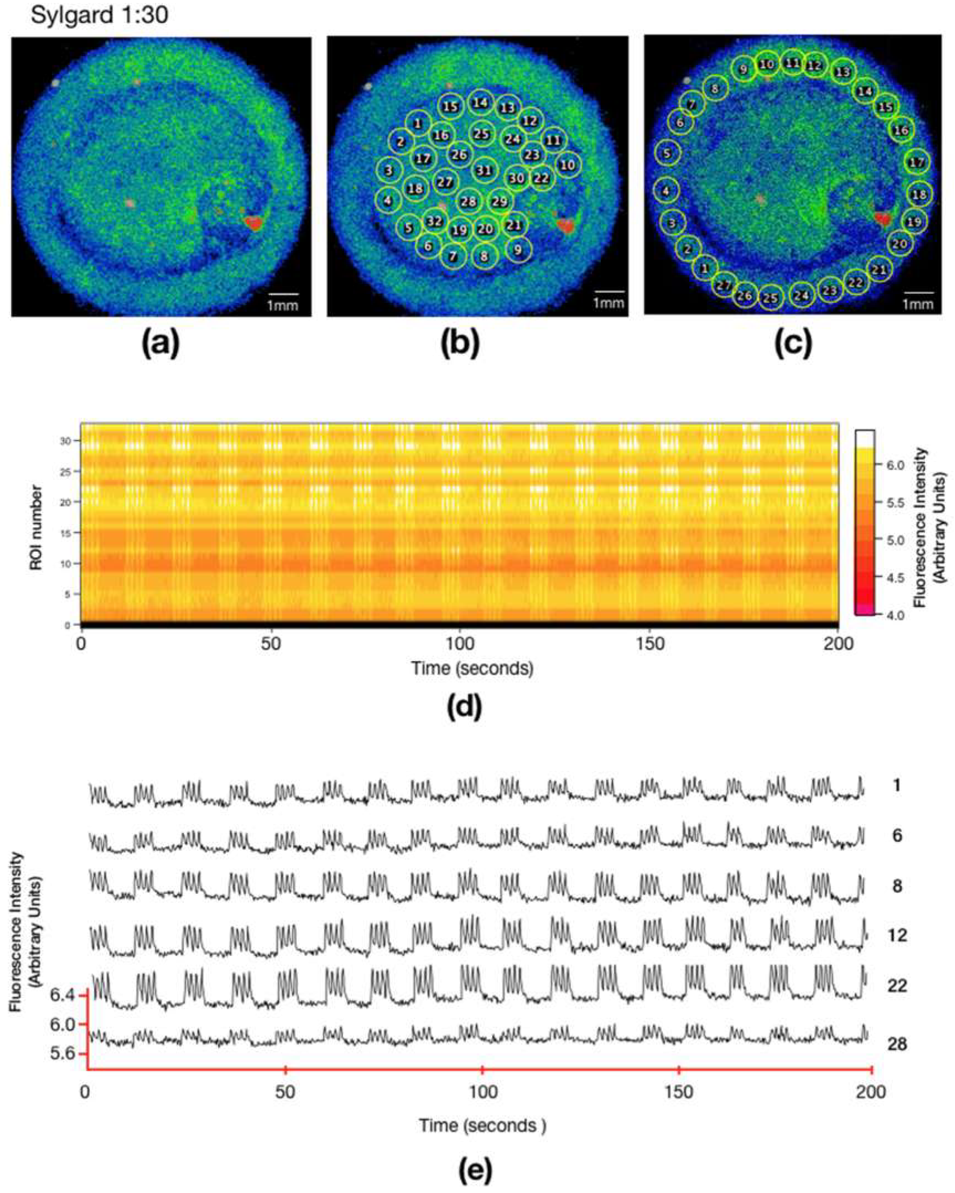 Biomimetics 04 00033 g005 Biomimetics 04 00033 g005