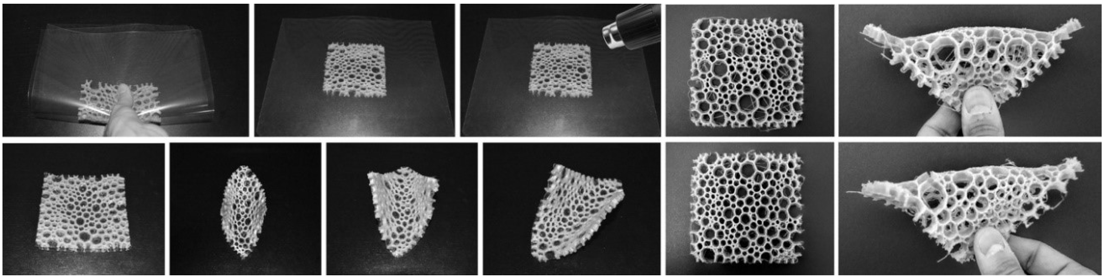 Biomimetics Free FullText Studio One A New Teaching Model for
