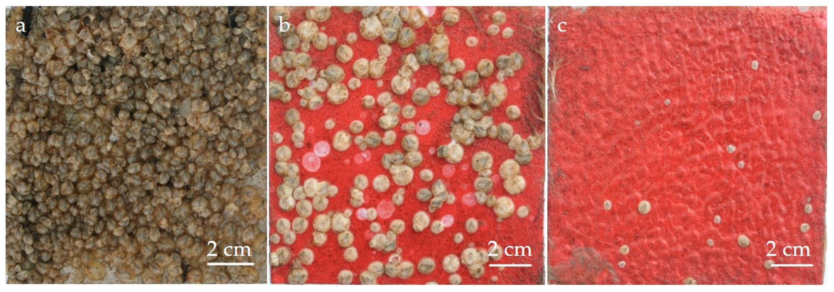 Biomimetics 04 00037 g004 550