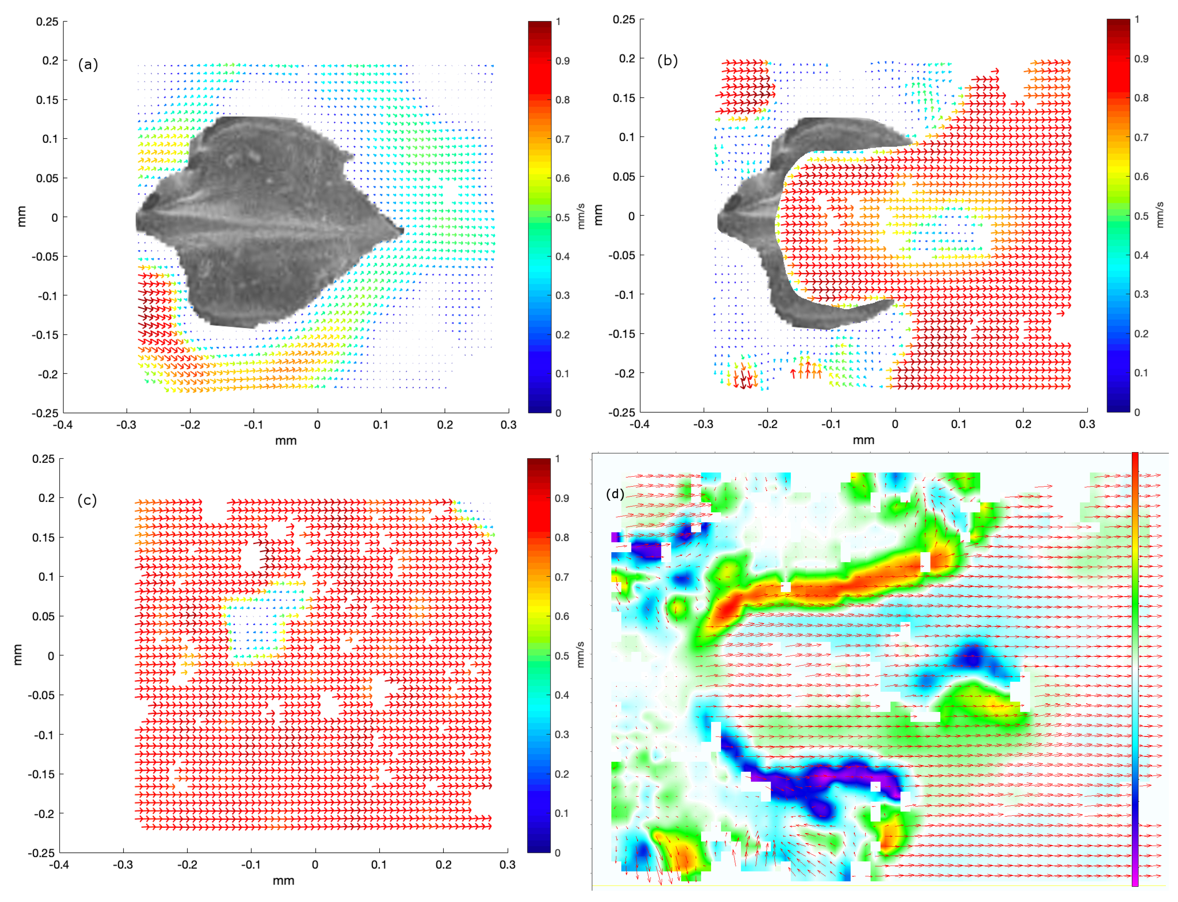 Biomimetics 04 00038 g004