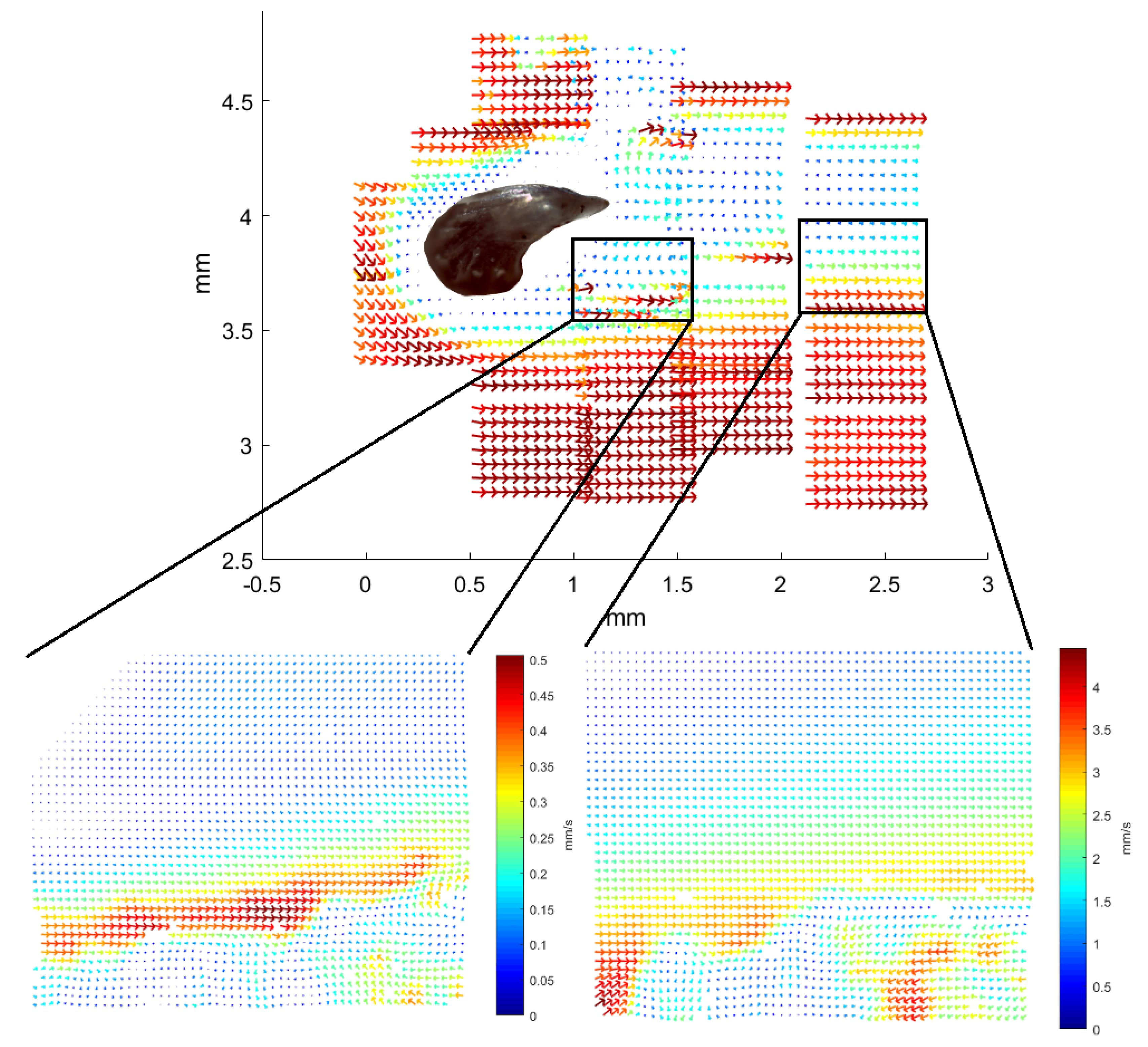 Biomimetics 04 00038 g006