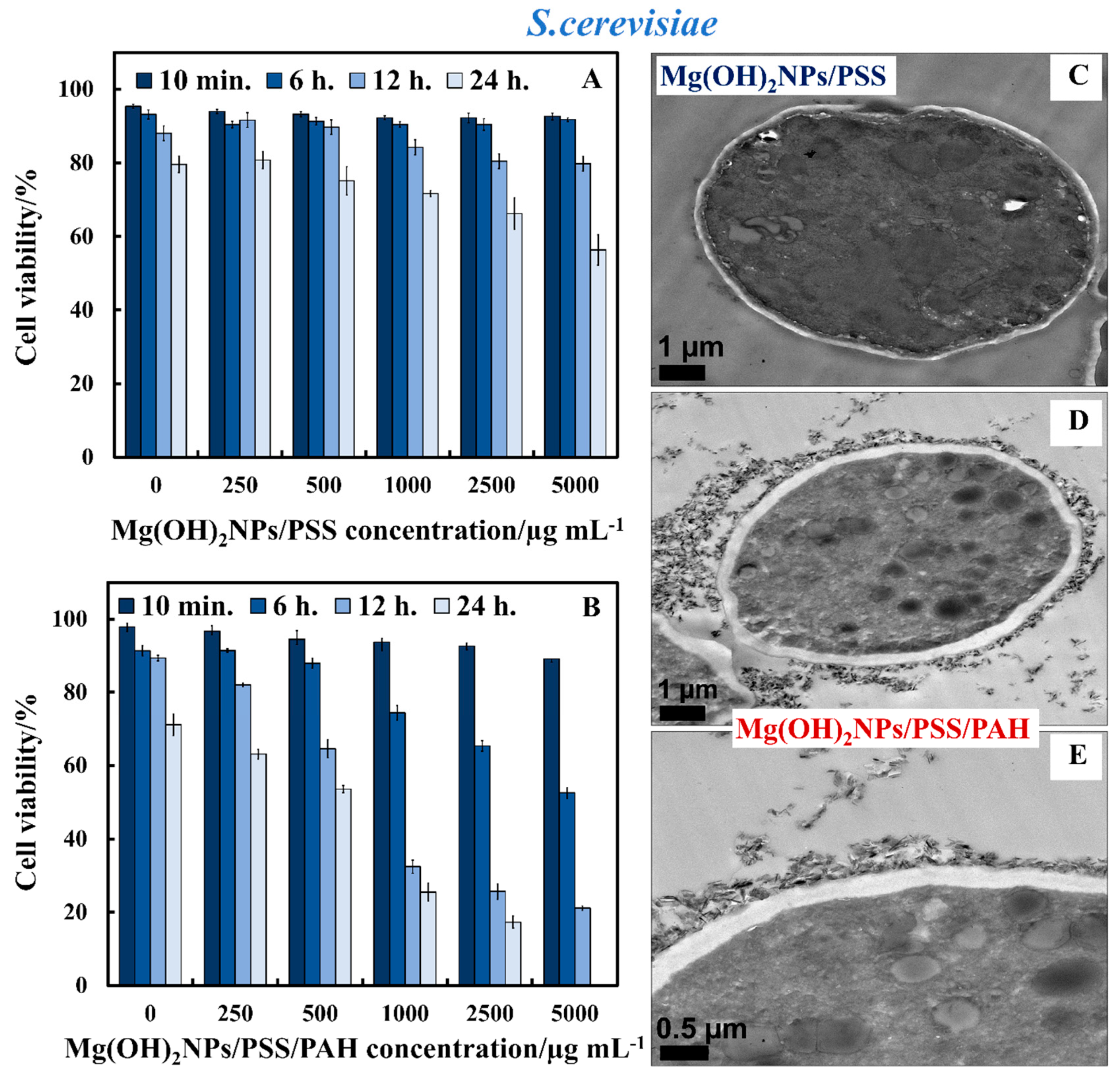Biomimetics 04 00041 g009