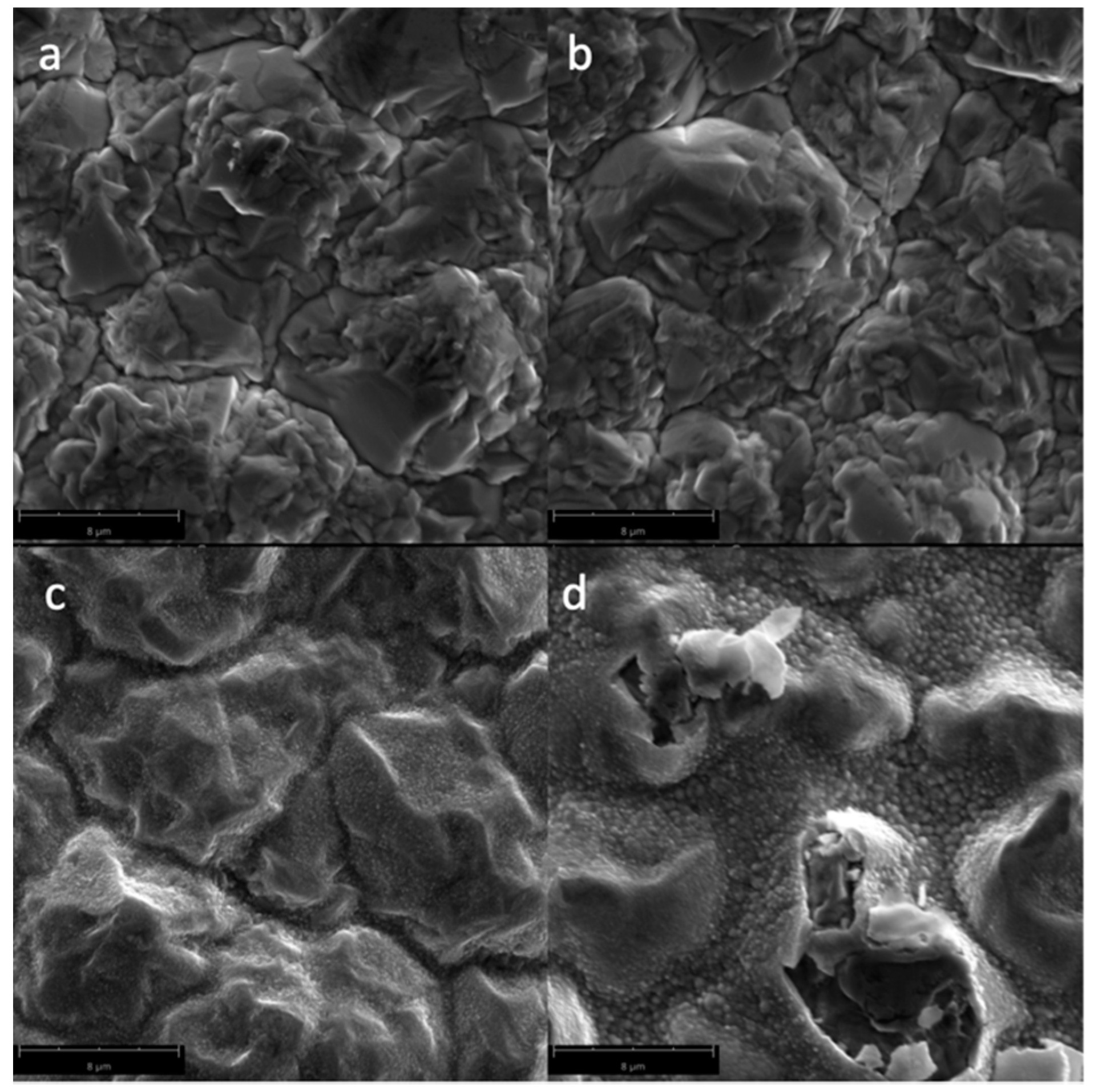 Biomimetics 04 00042 g002 Biomimetics 04 00042 g002