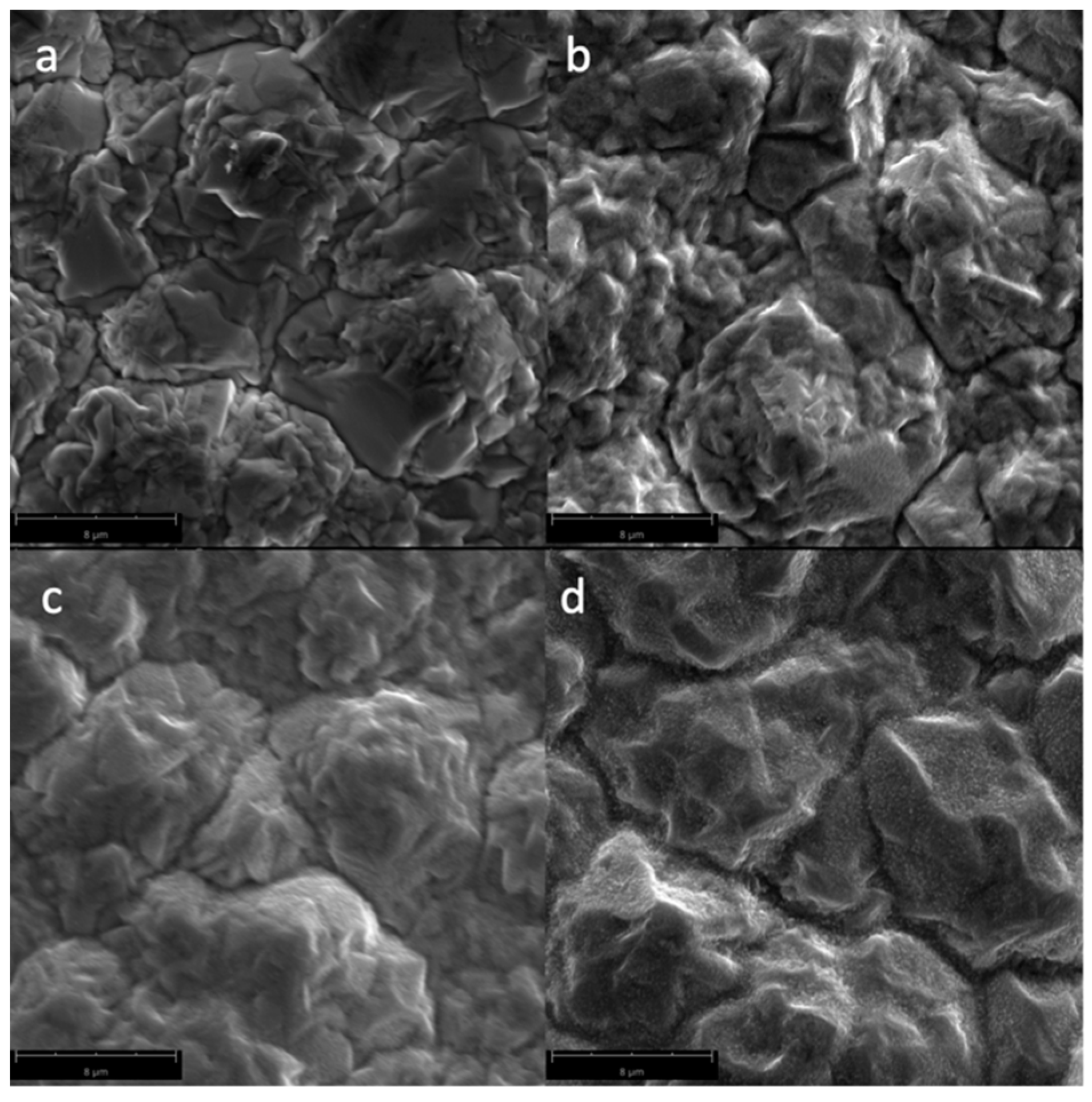 Biomimetics 04 00042 g003 Biomimetics 04 00042 g003