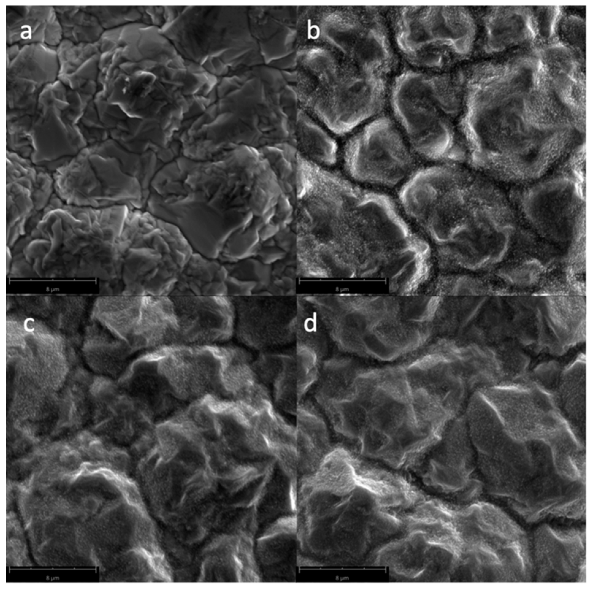 Biomimetics 04 00042 g004 Biomimetics 04 00042 g004