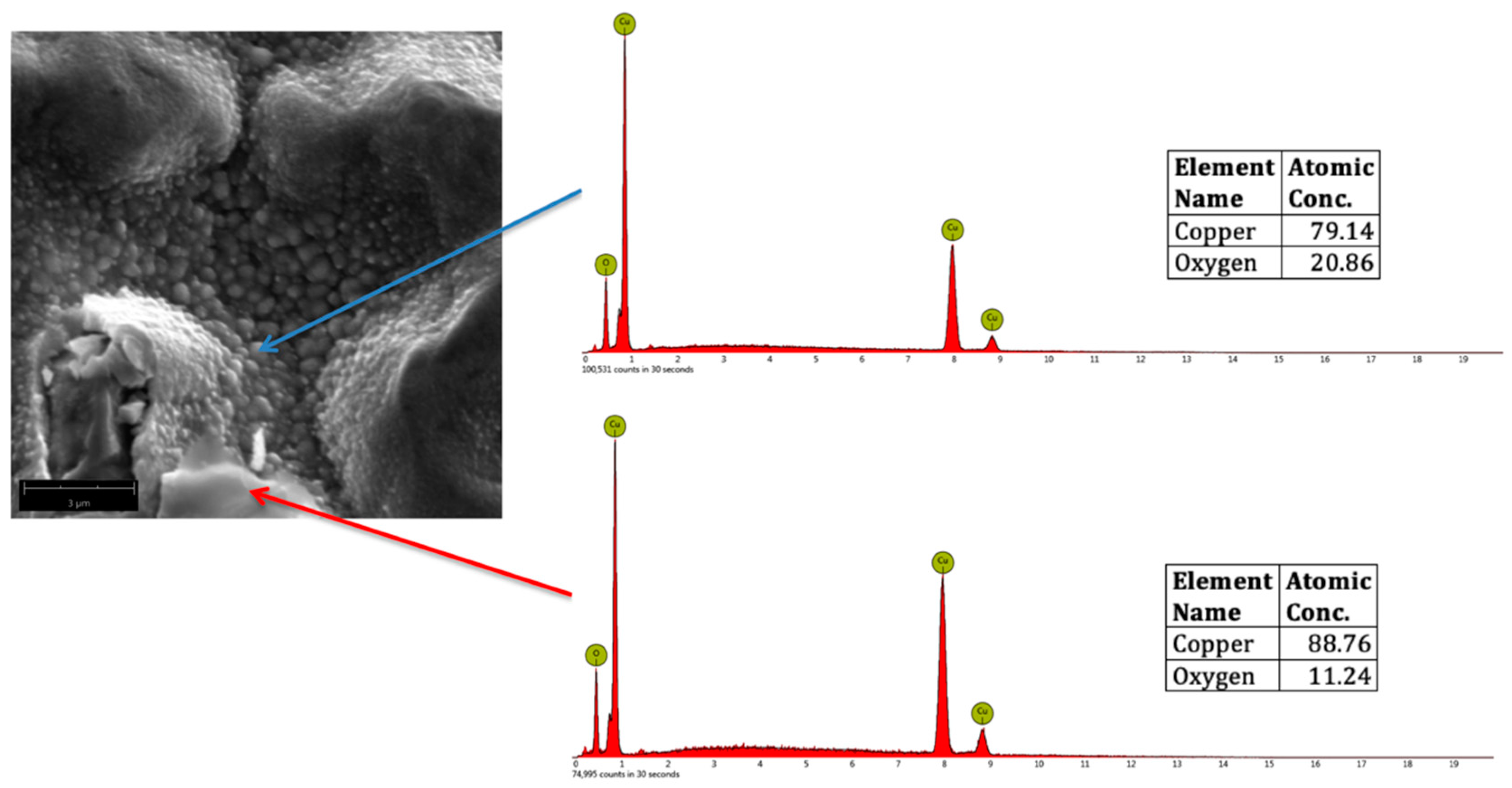 Biomimetics 04 00042 g006 Biomimetics 04 00042 g006