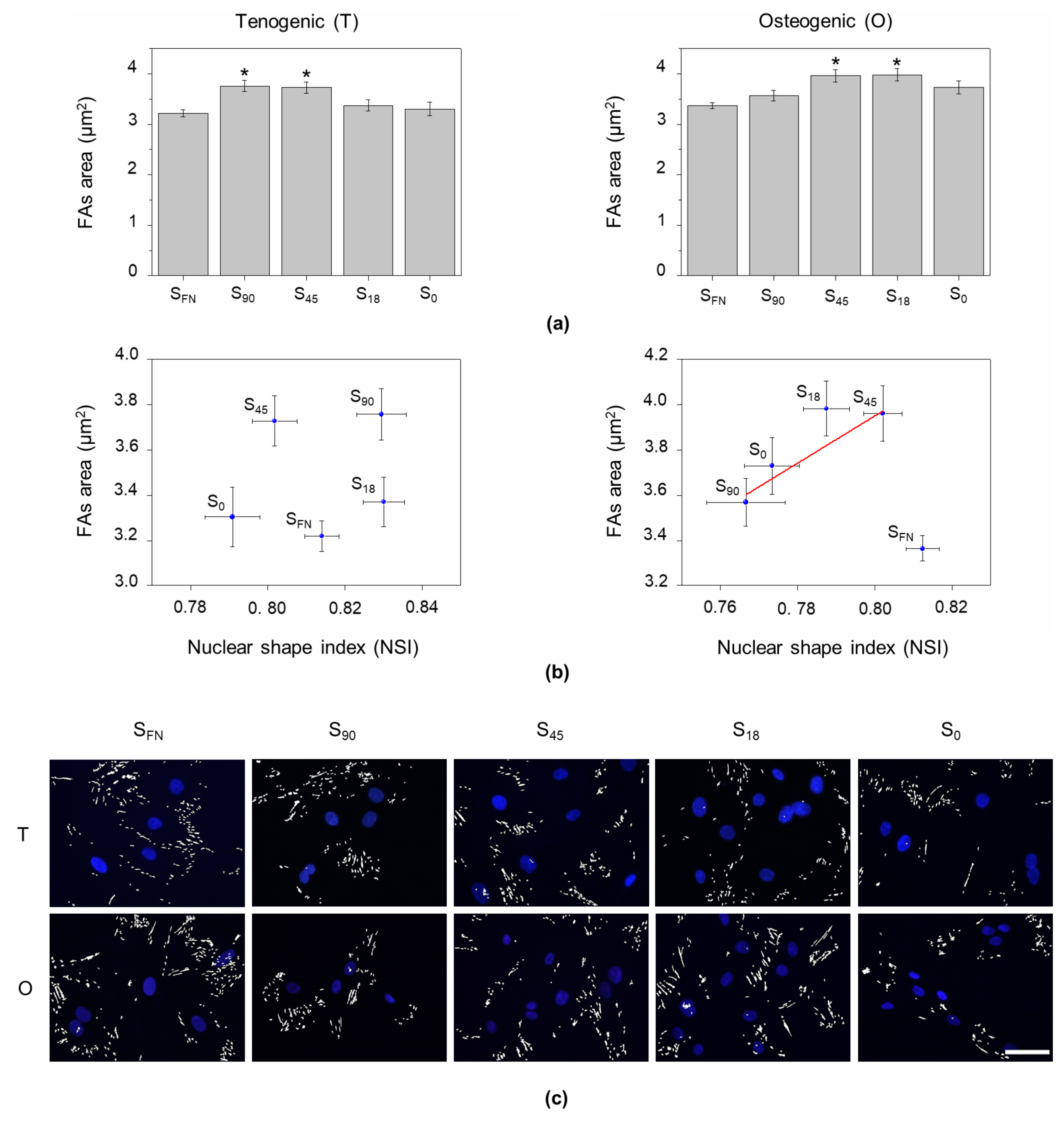 Biomimetics 04 00043 g002