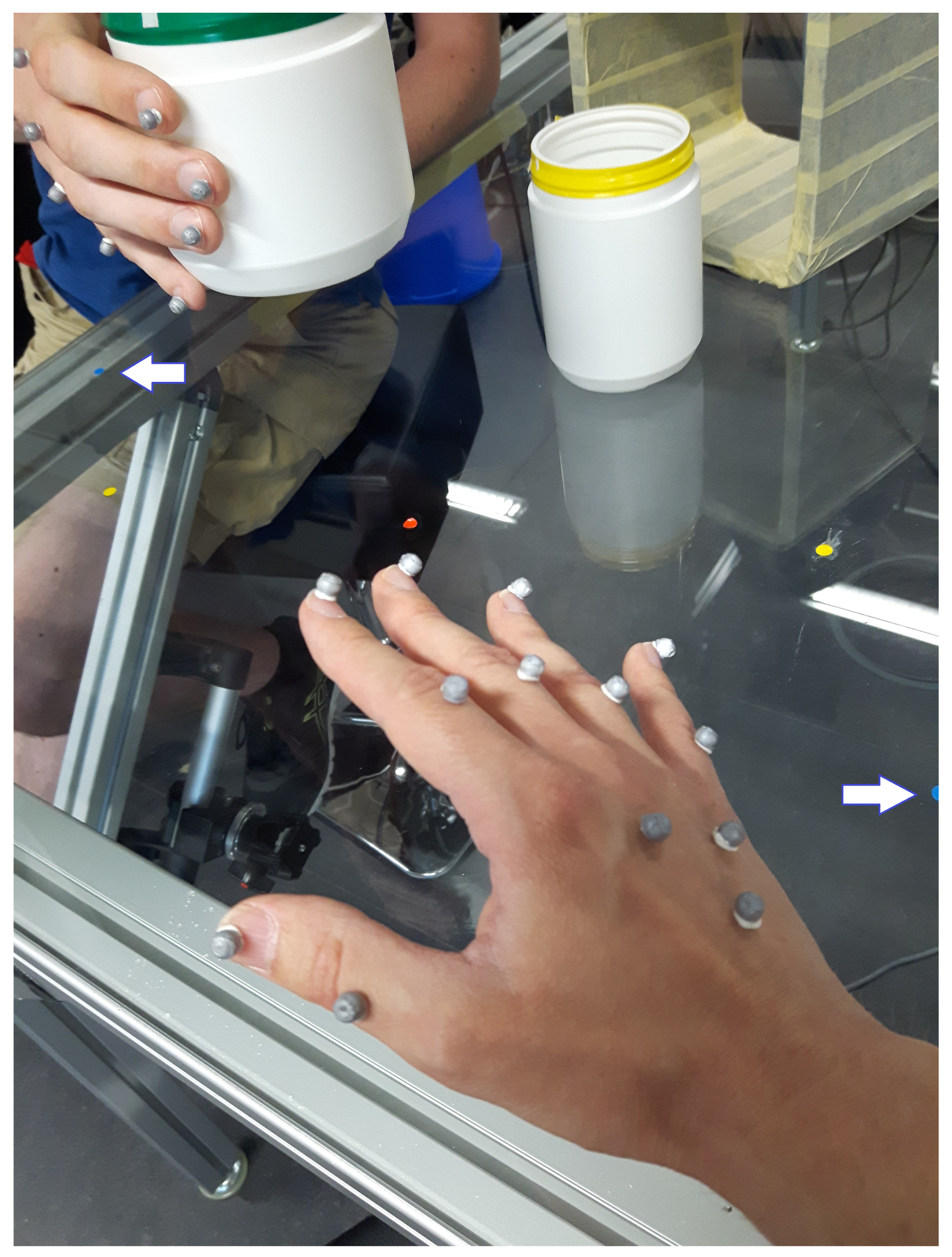 Biomimetics 04 00055 g003