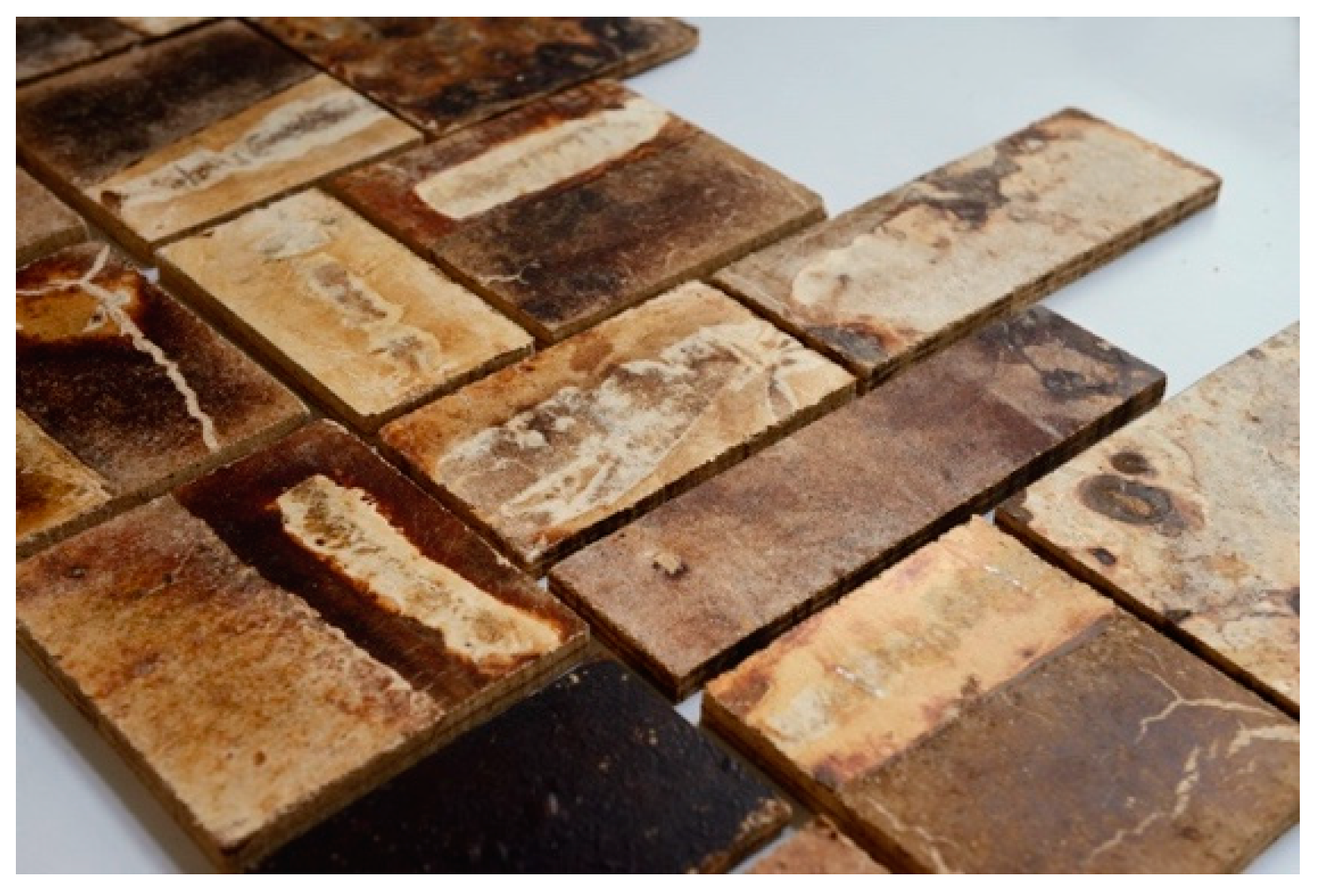 Biomimetics 04 00056 g007 550