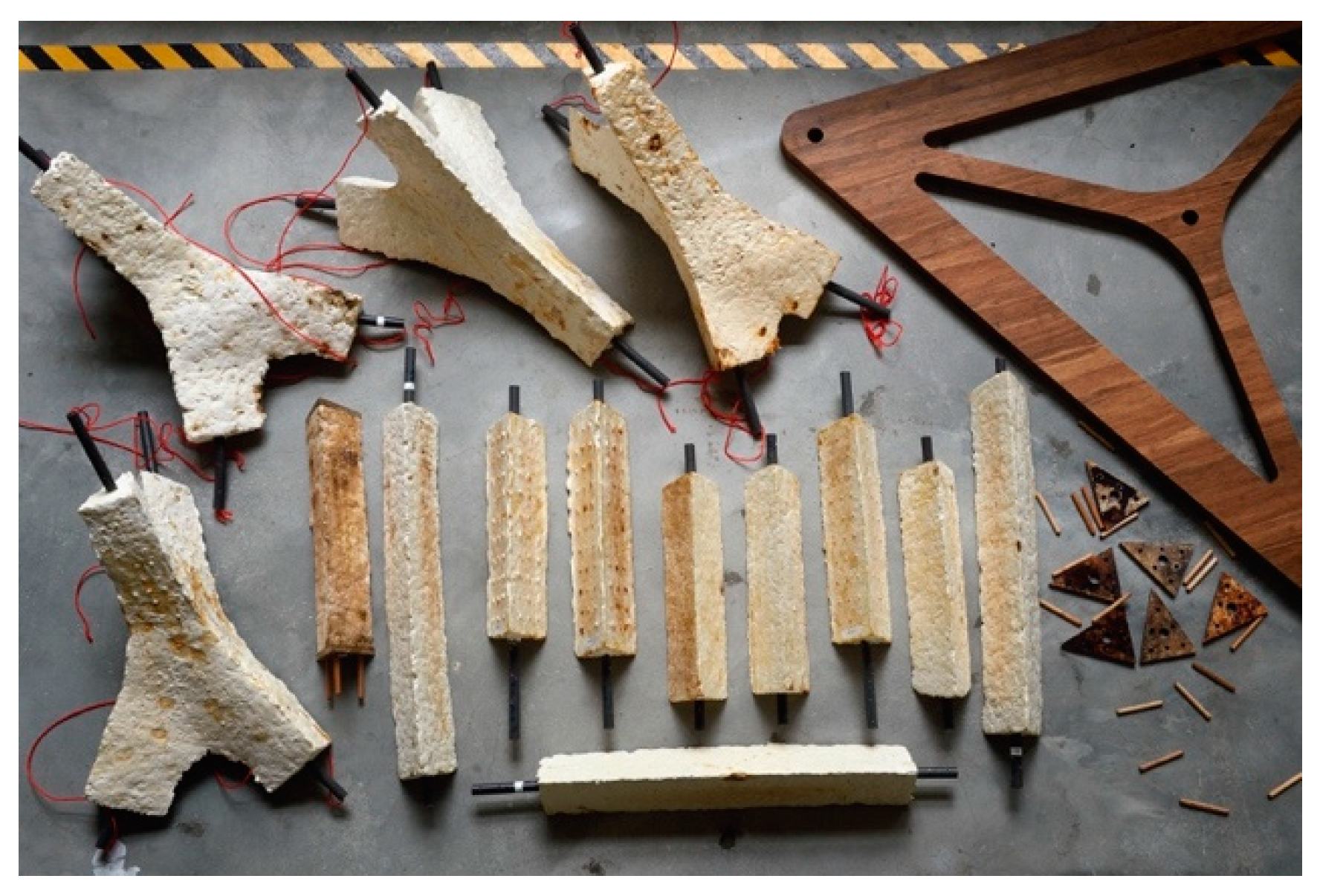 Biomimetics 04 00056 g009 550