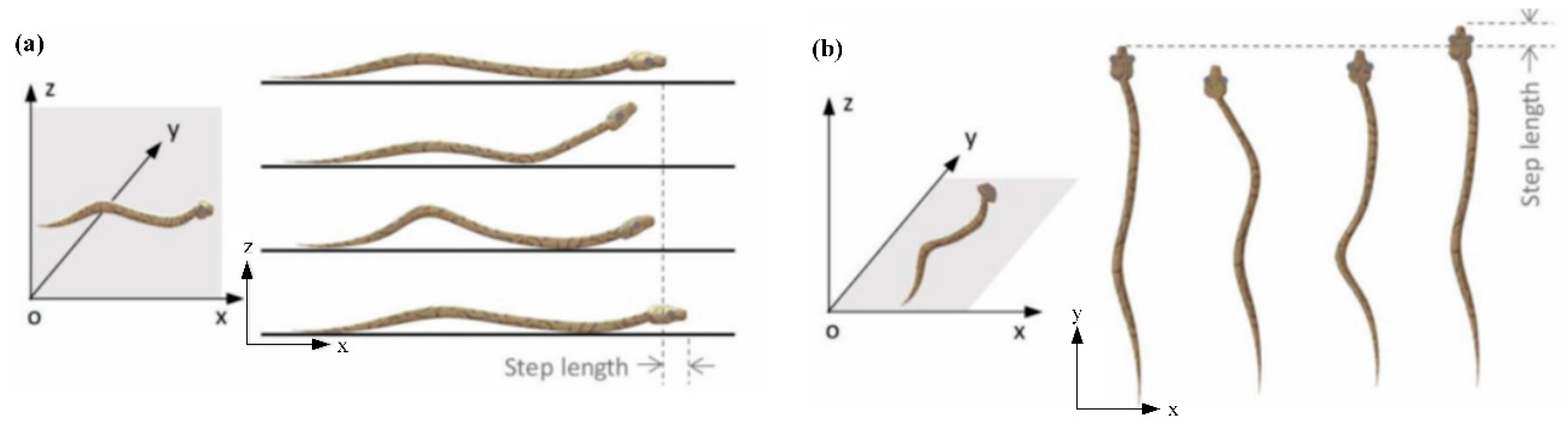 Biomimetics 04 00057 g001 Biomimetics 04 00057 g001
