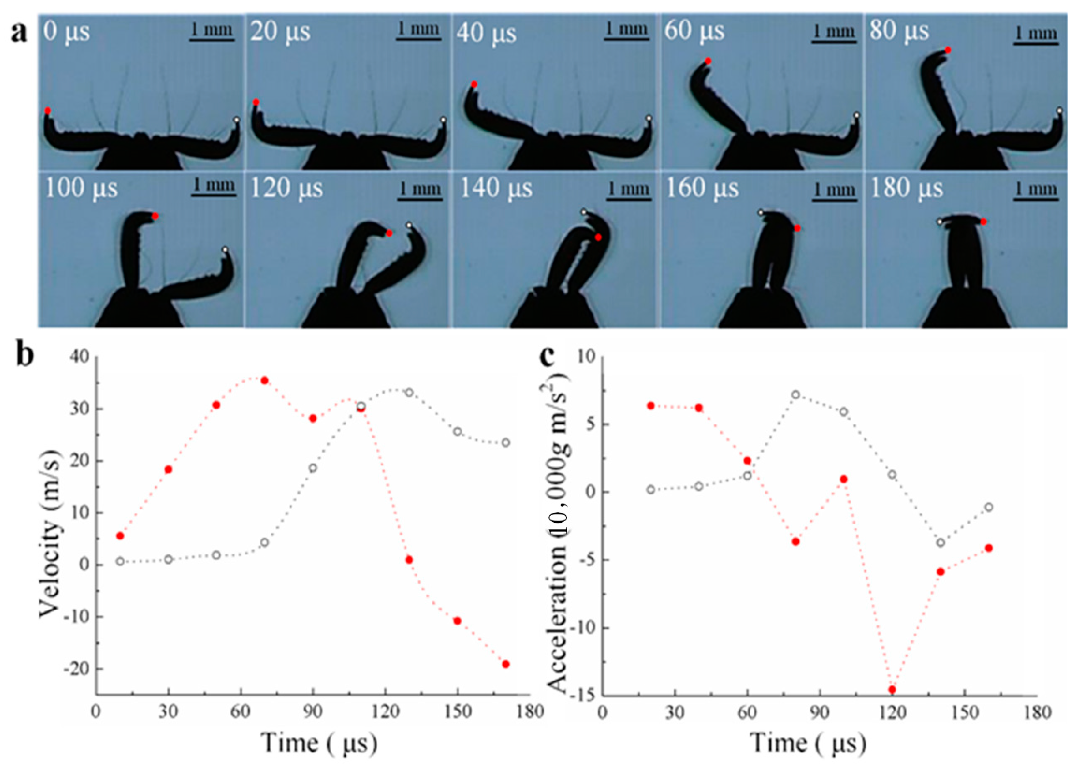 Biomimetics 04 00057 g002 Biomimetics 04 00057 g002