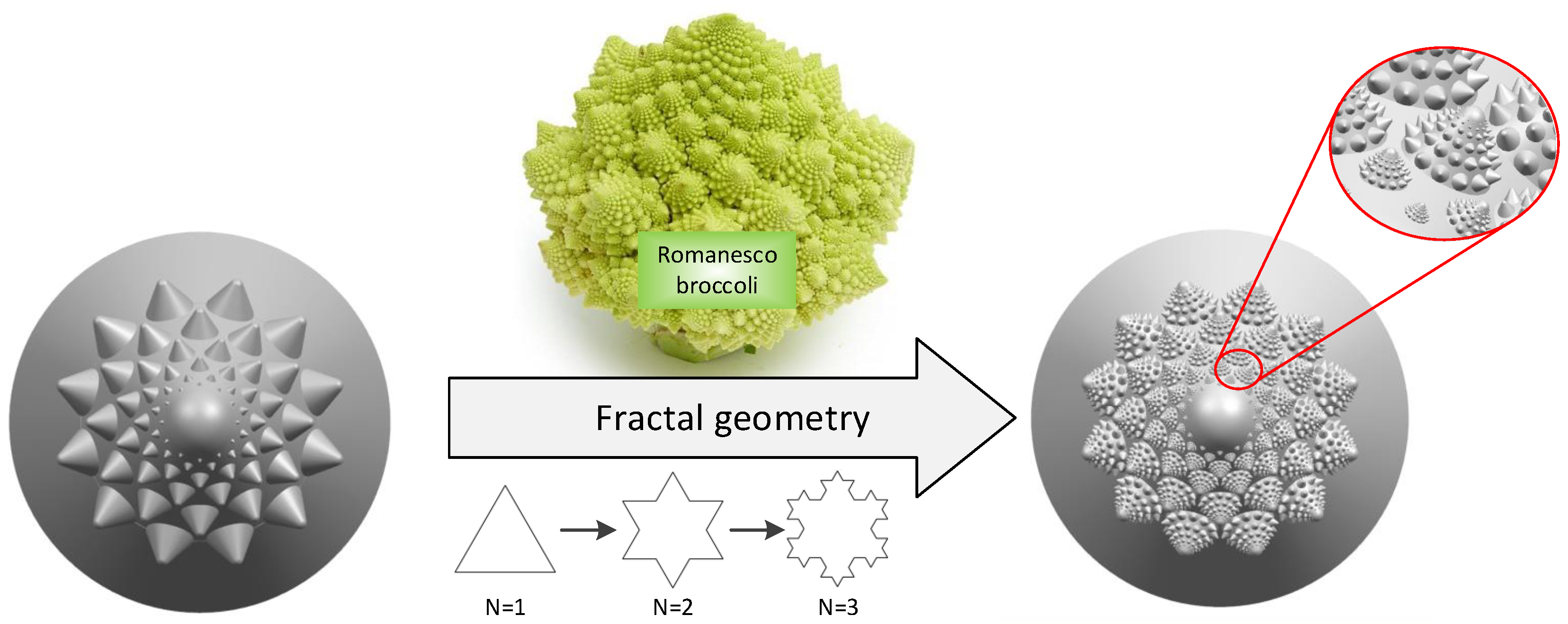 Biomimetics 04 00063 g004