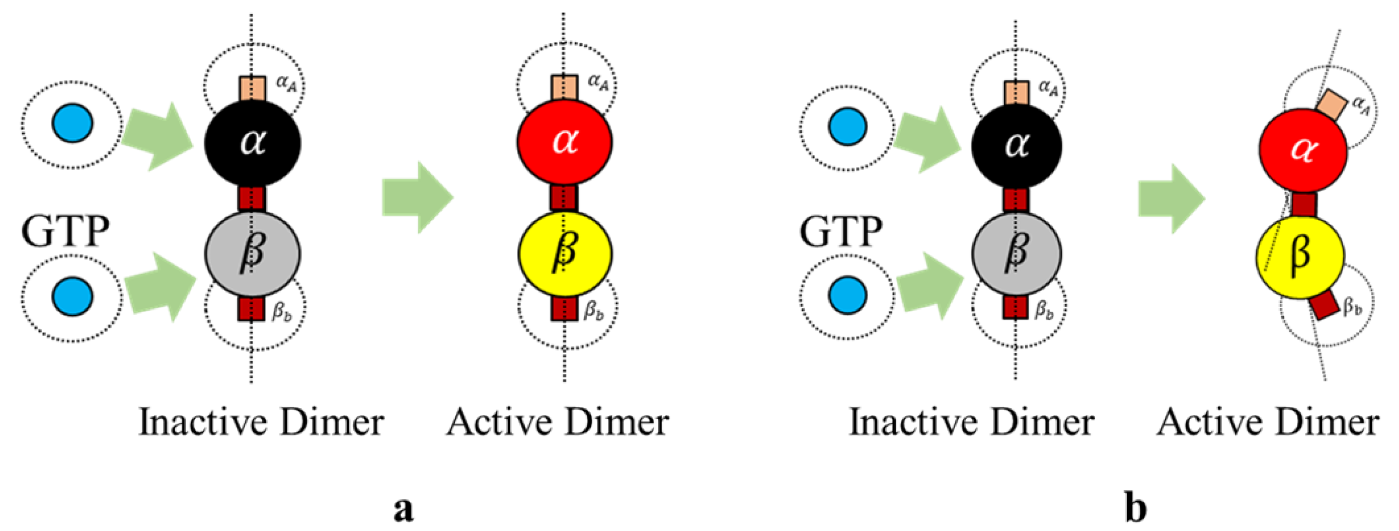 Biomimetics 04 00071 g005