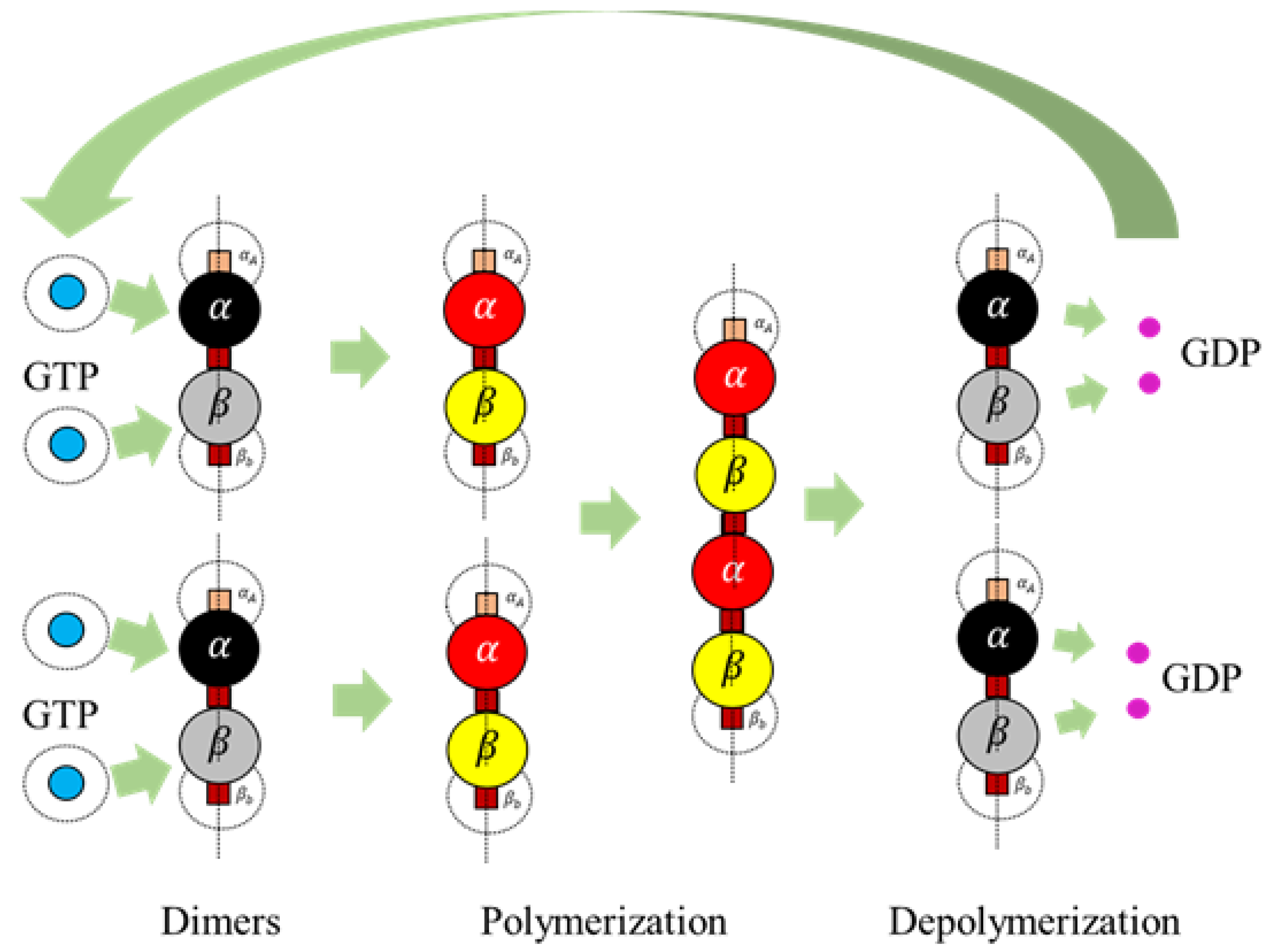 Biomimetics 04 00071 g008
