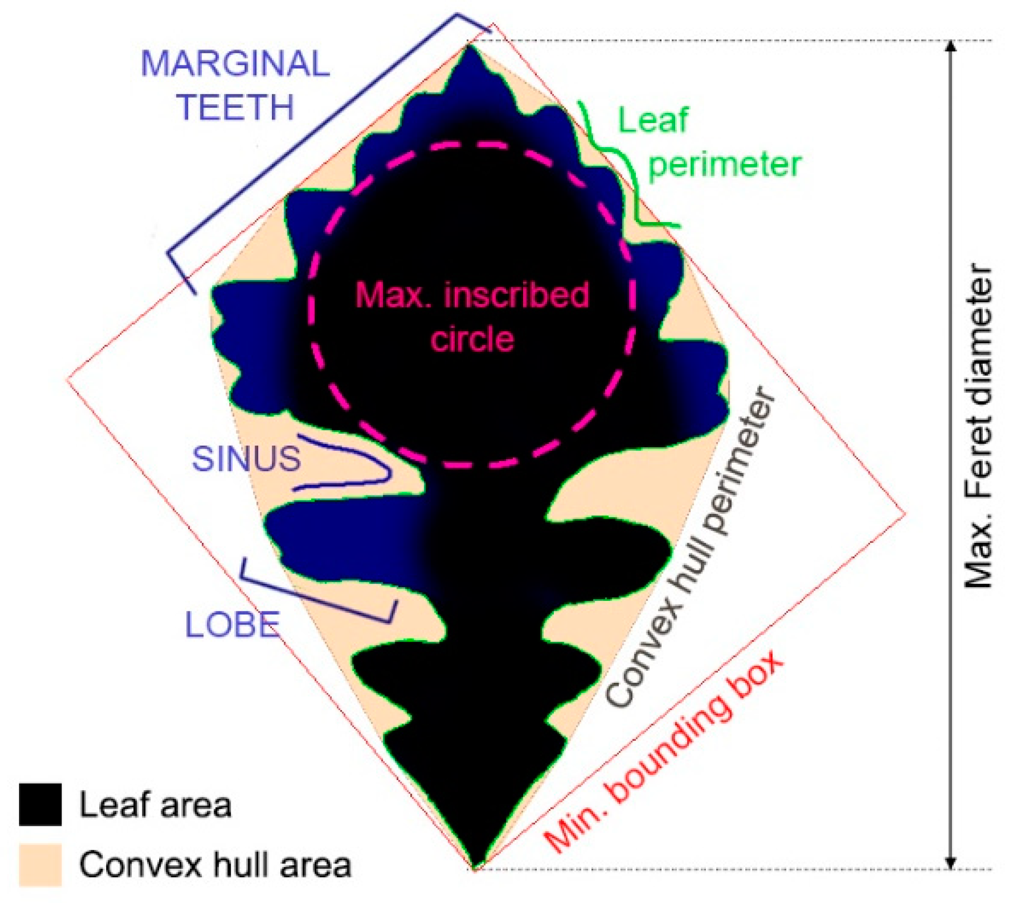 Biomimetics 04 00075 g002