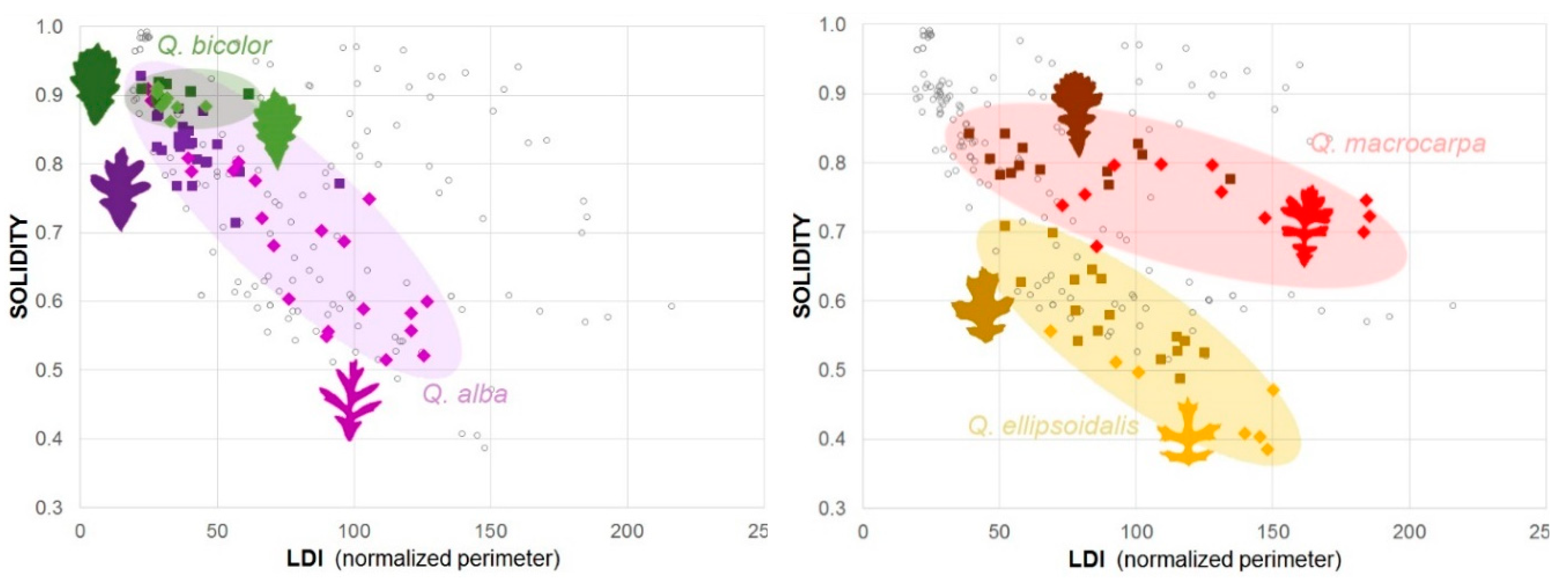 Biomimetics 04 00075 g003