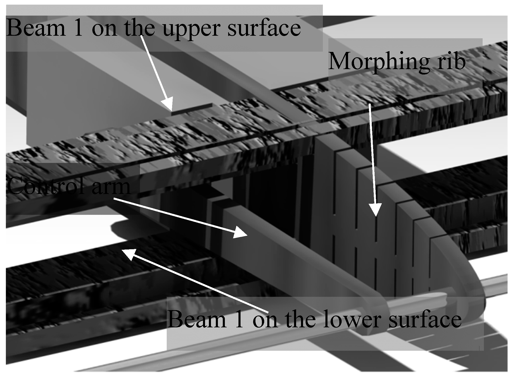 Biomimetics 04 00076 g007