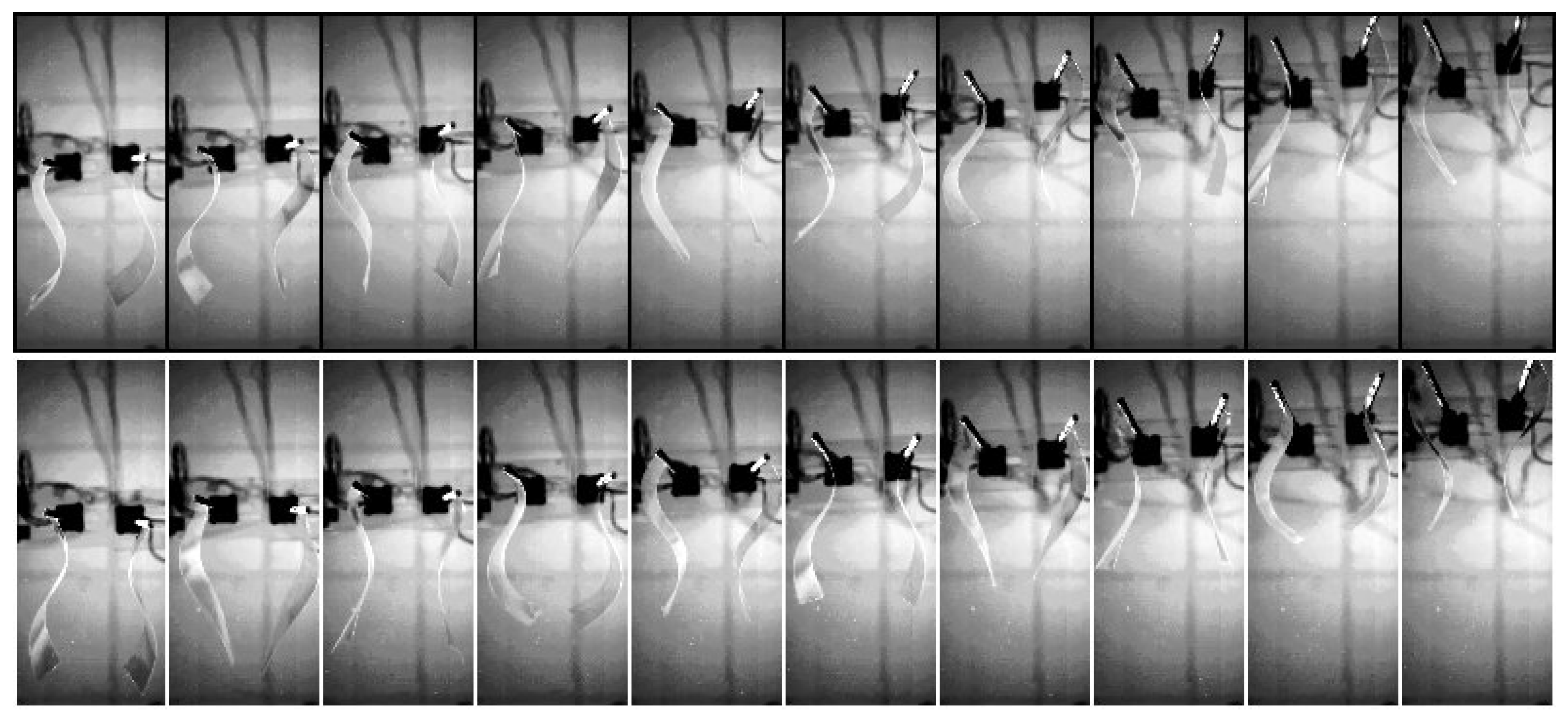 Biomimetics 04 00077 g002 Biomimetics 04 00077 g002