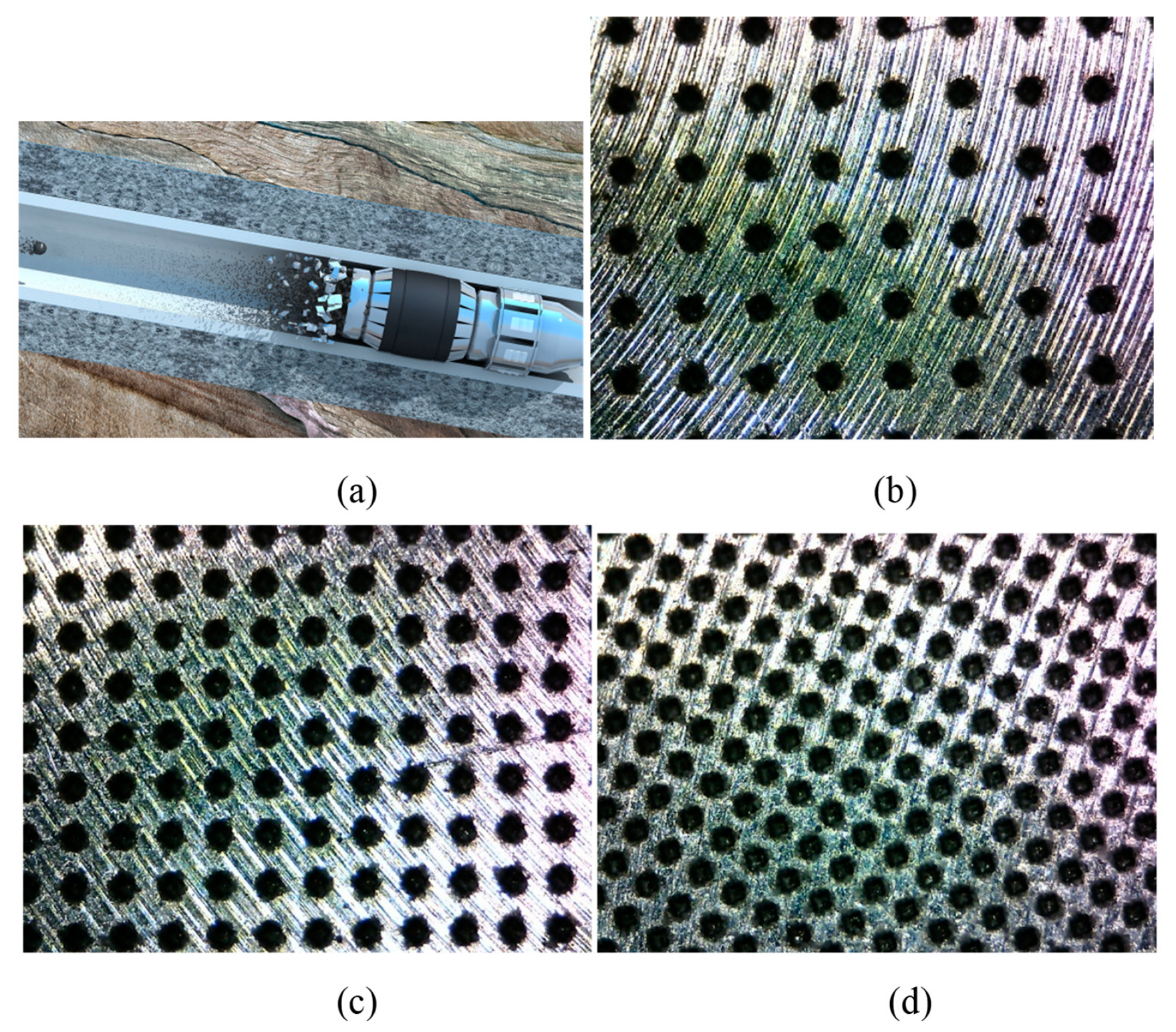 Biomimetics 04 00078 g001 550