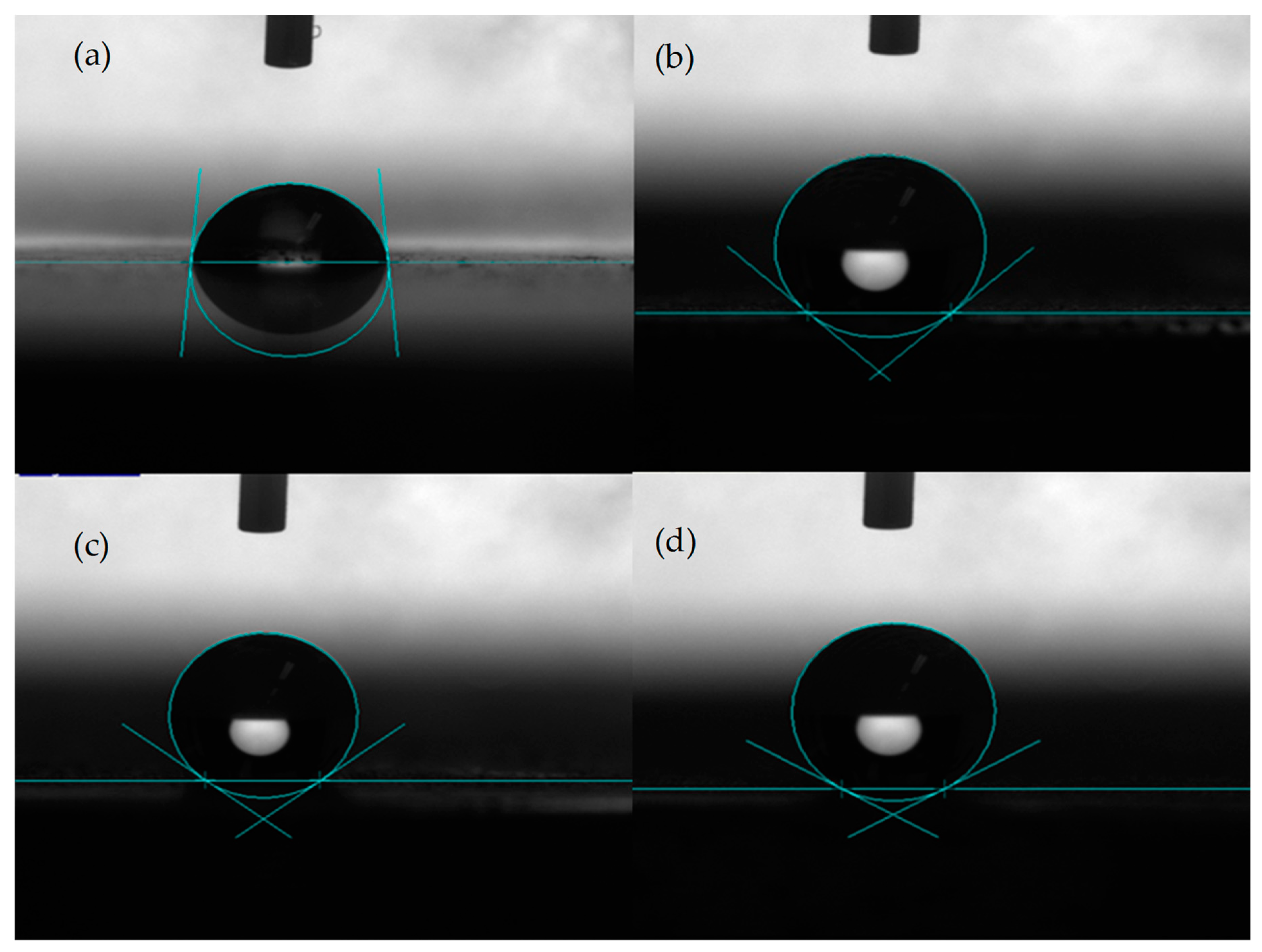 Biomimetics 04 00078 g004 550