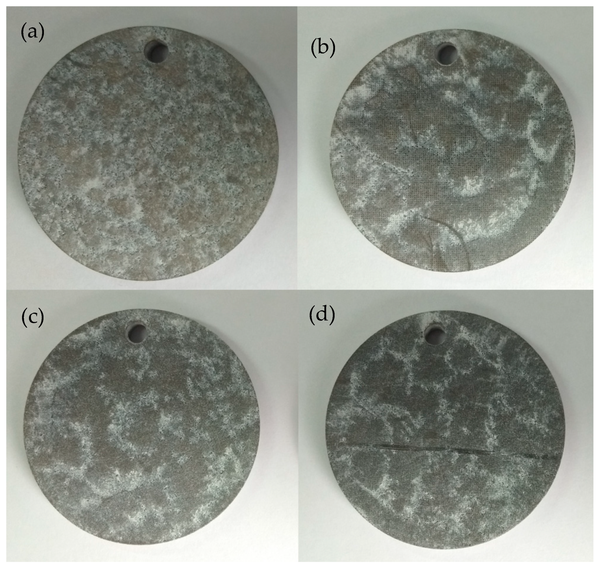 Biomimetics 04 00078 g005 550