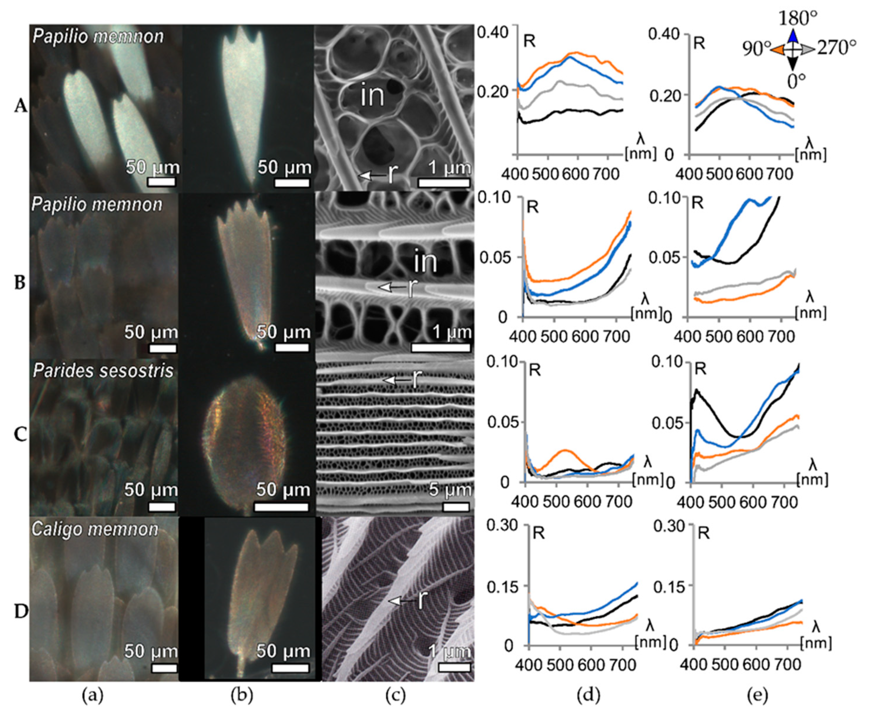 Biomimetics 05 00005 g002