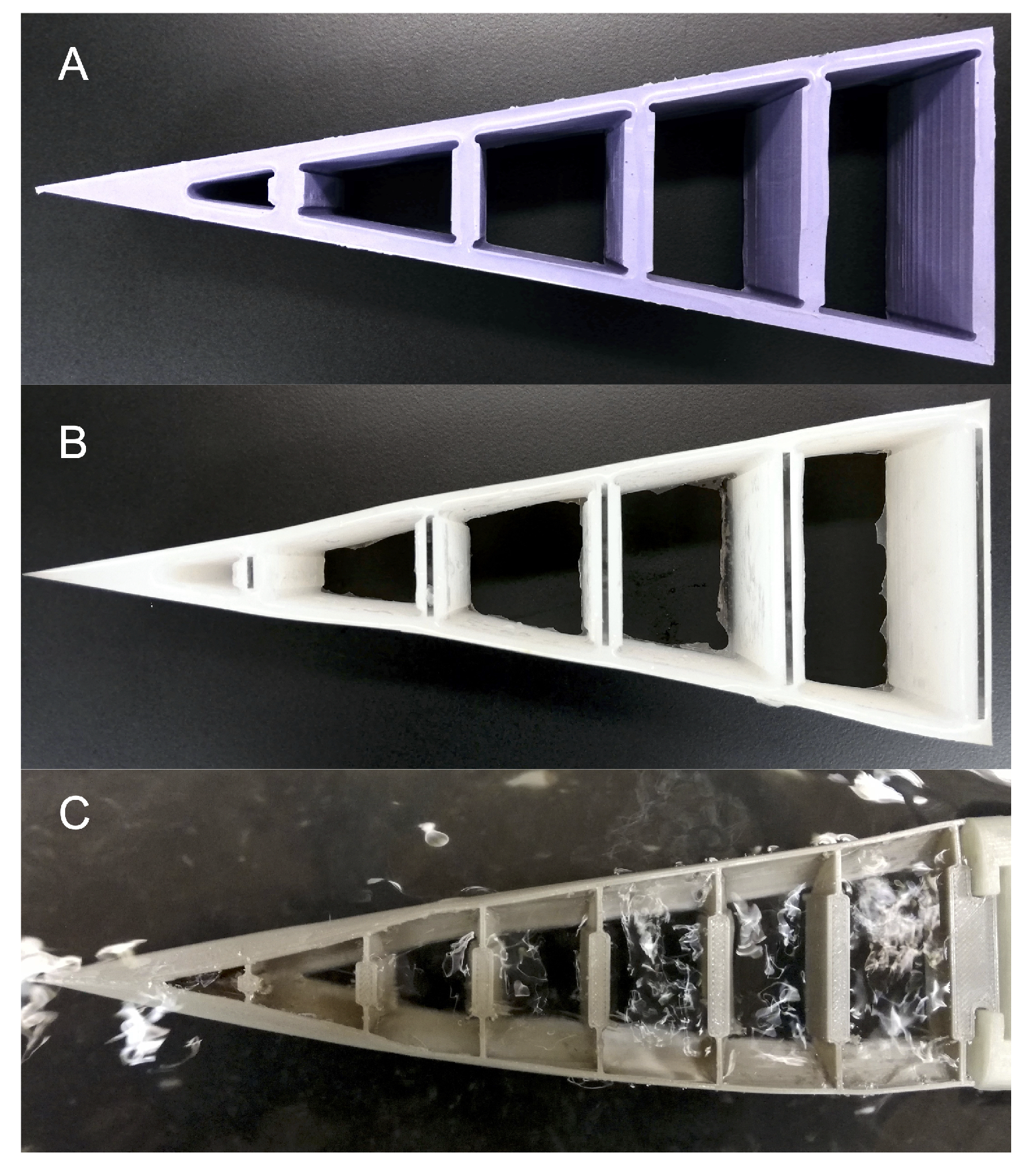 Biomimetics 05 00007 g002