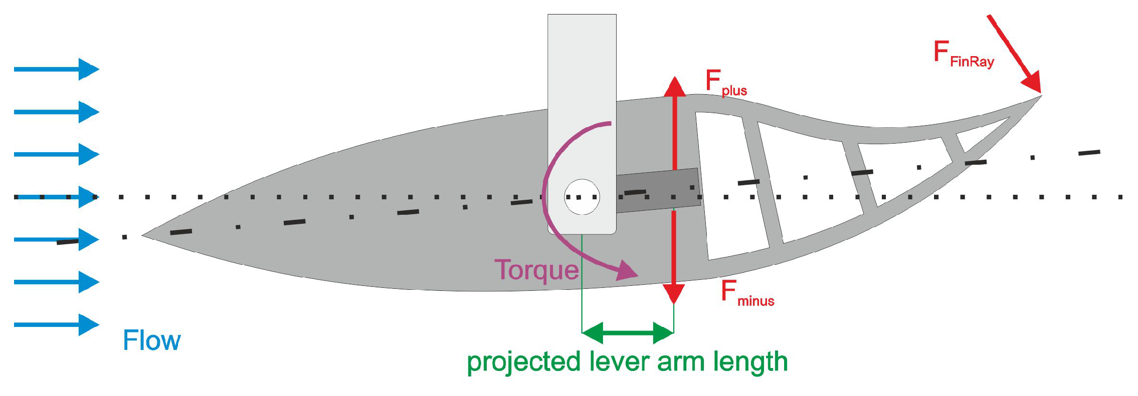 Biomimetics 05 00007 g005
