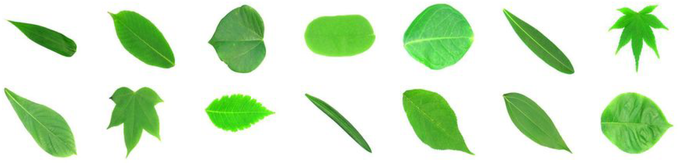 Biomimetics 05 00008 g002