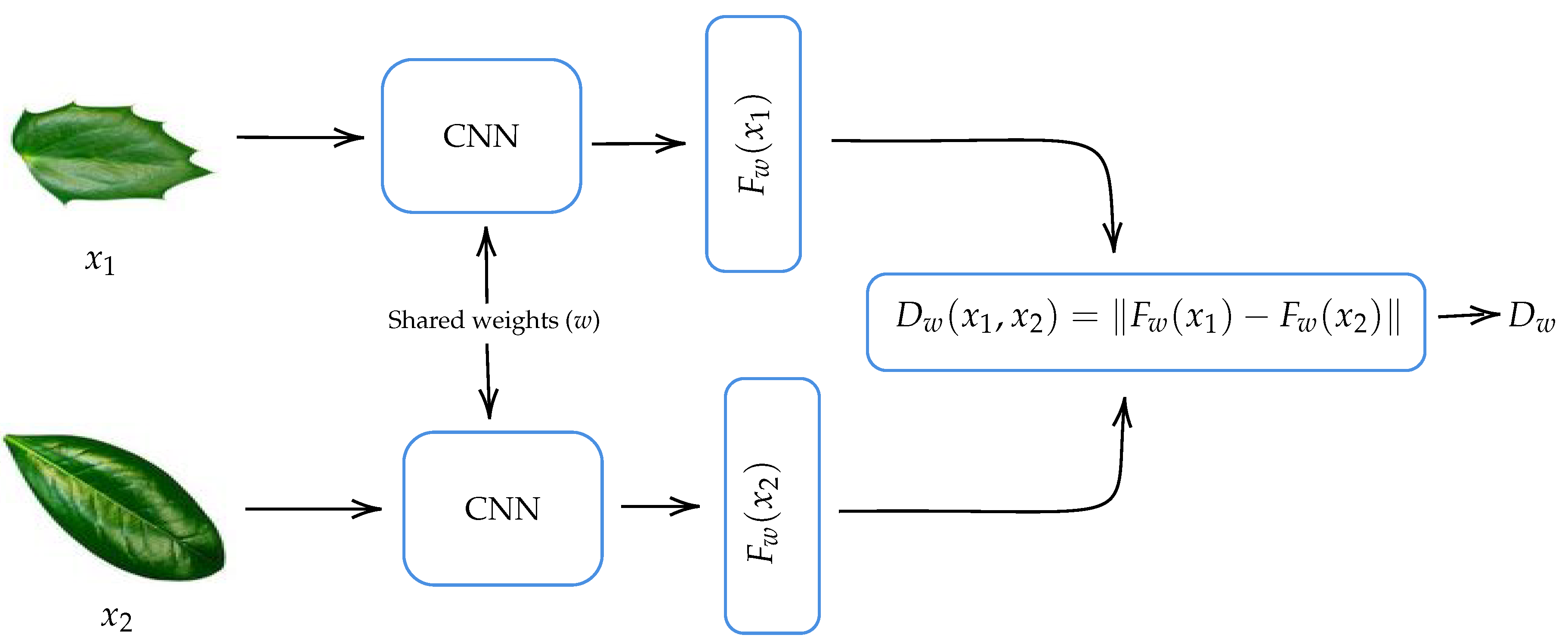 Biomimetics 05 00008 g005
