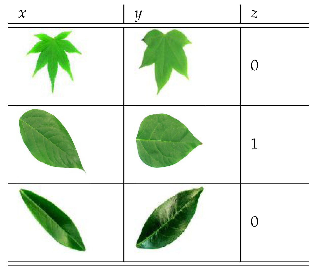 Biomimetics 05 00008 g006