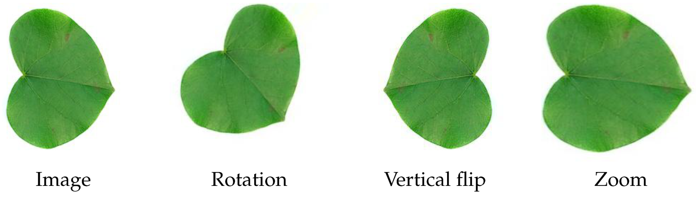 Biomimetics 05 00008 g007