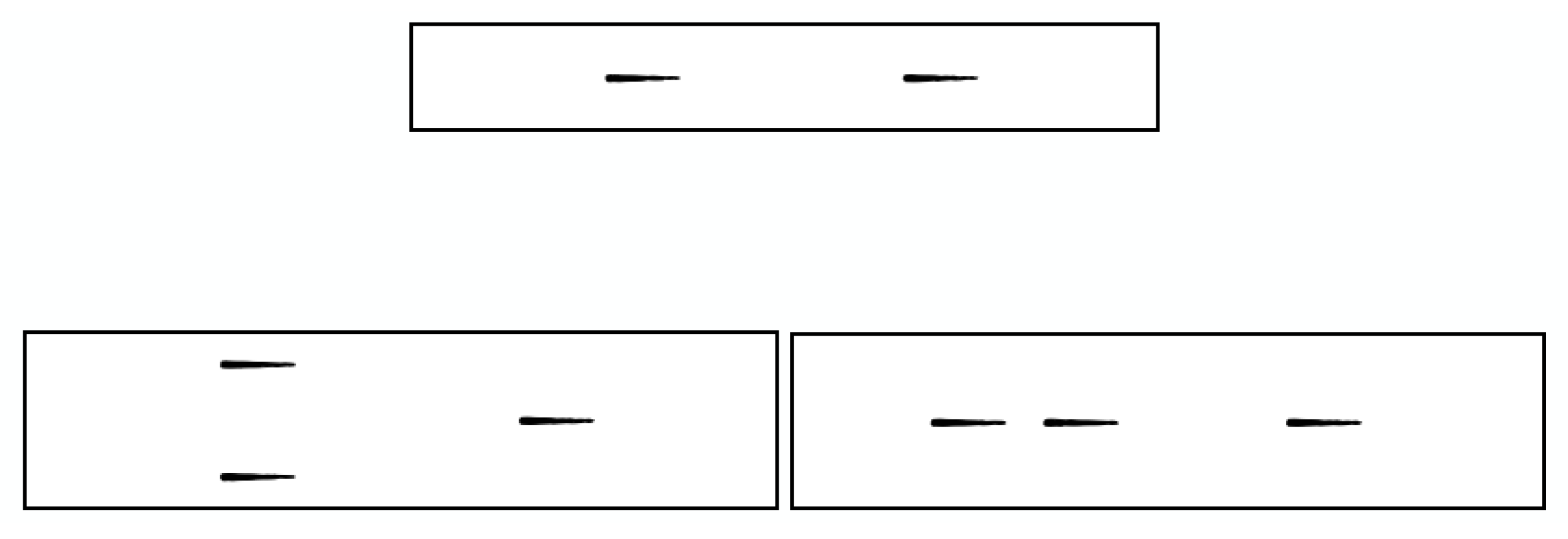 Biomimetics 05 00010 g0a1 Biomimetics 05 00010 g0a1