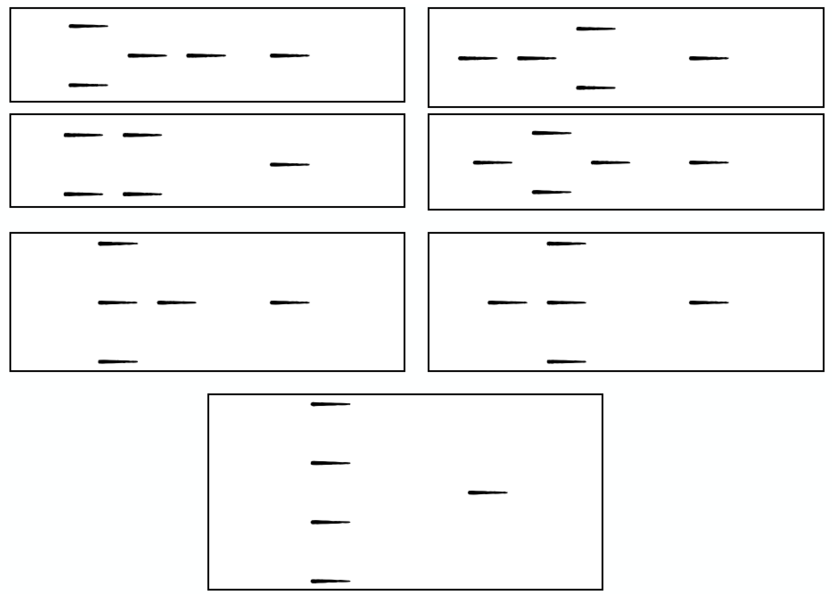 Biomimetics 05 00010 g0a3 Biomimetics 05 00010 g0a3