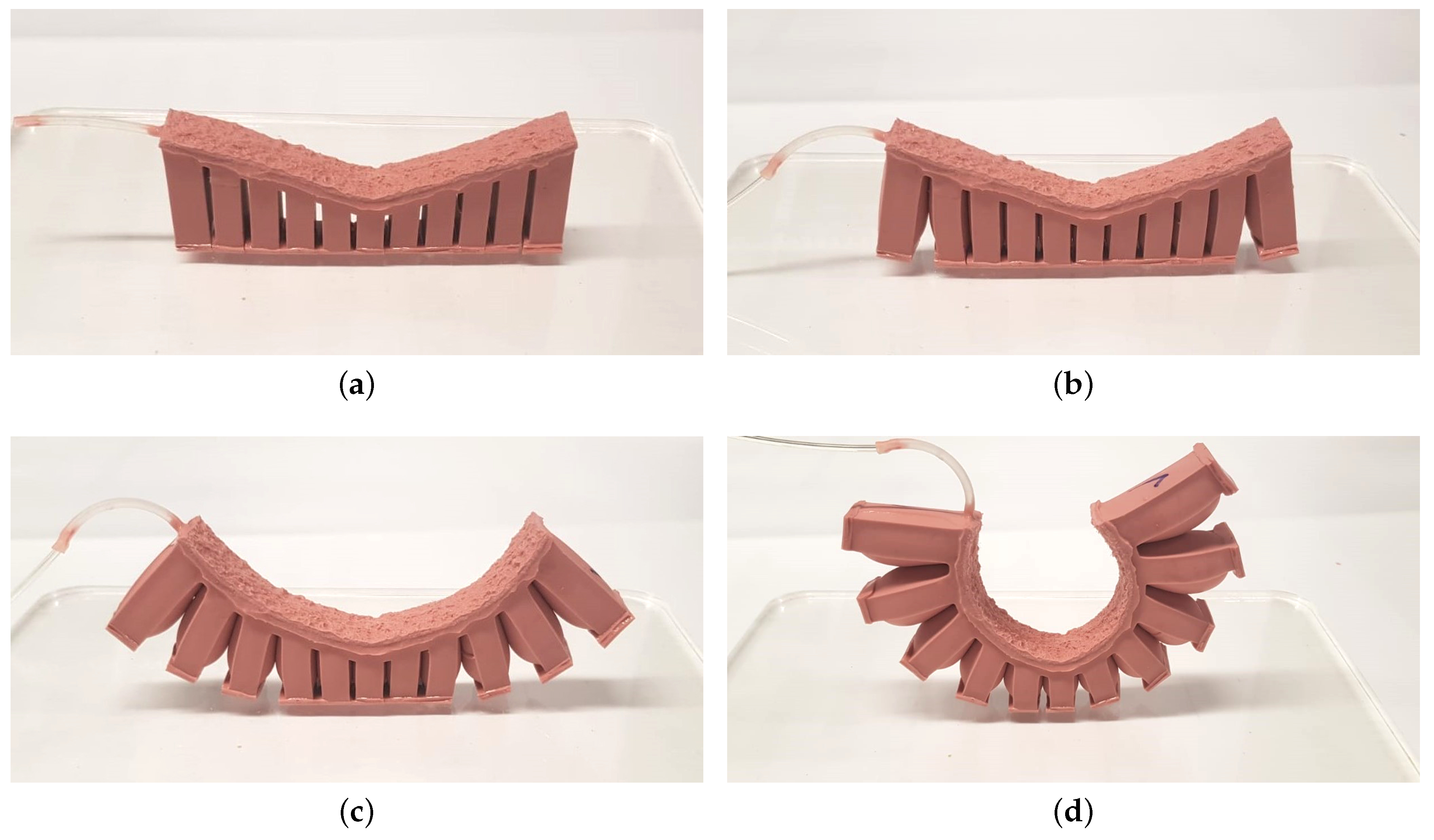 Biomimetics 05 00012 g008