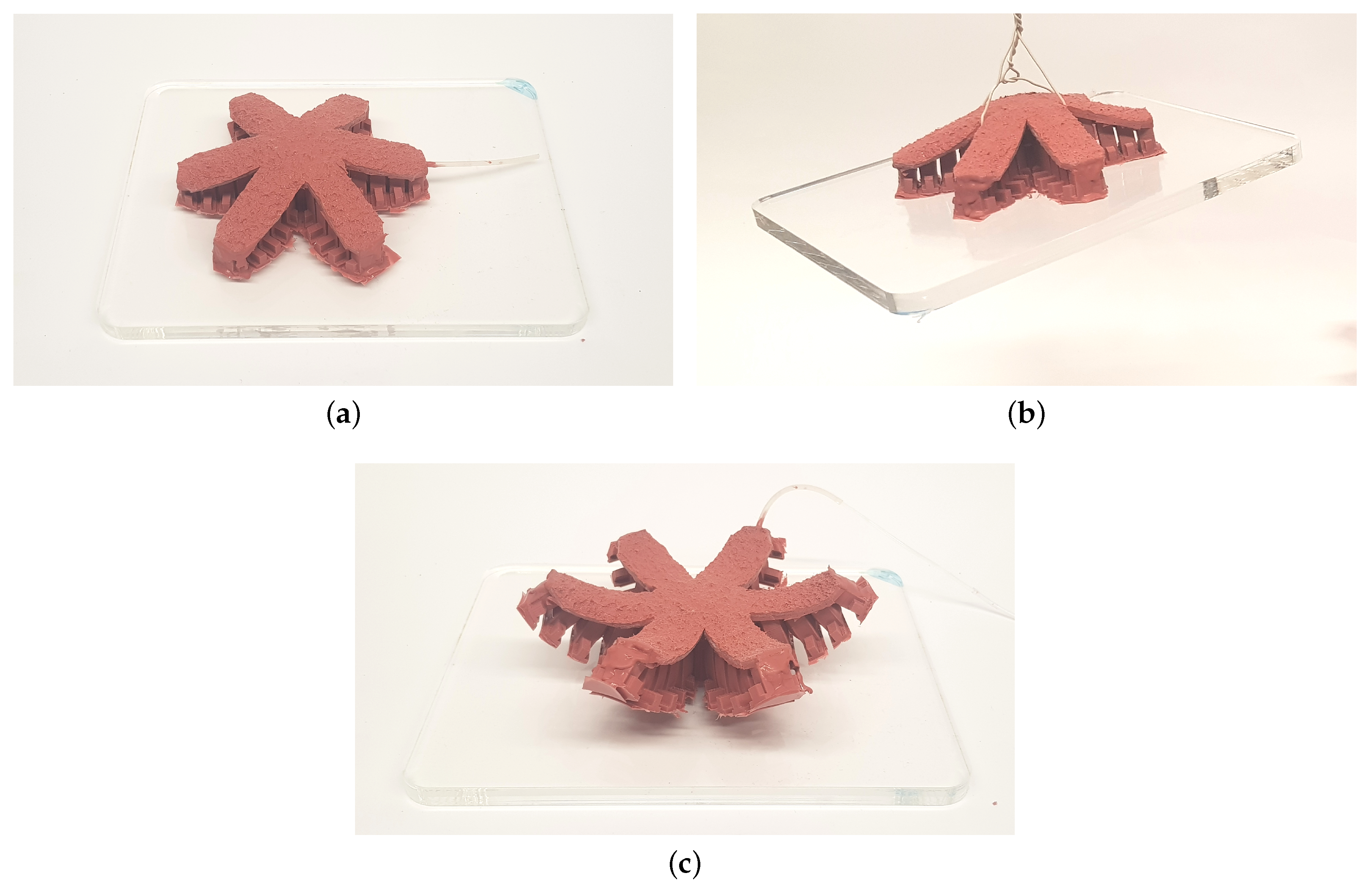 Biomimetics 05 00012 g010