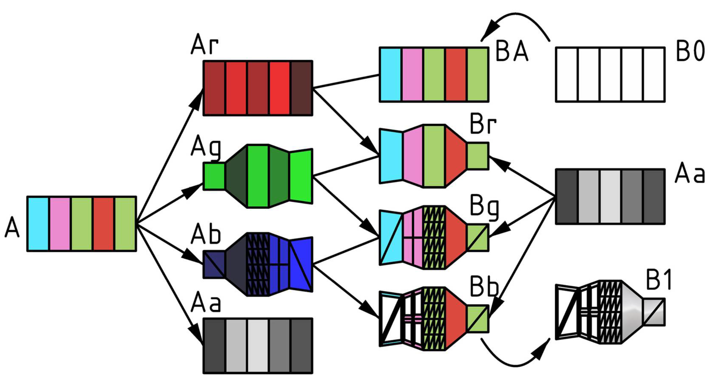 Biomimetics 05 00023 g001