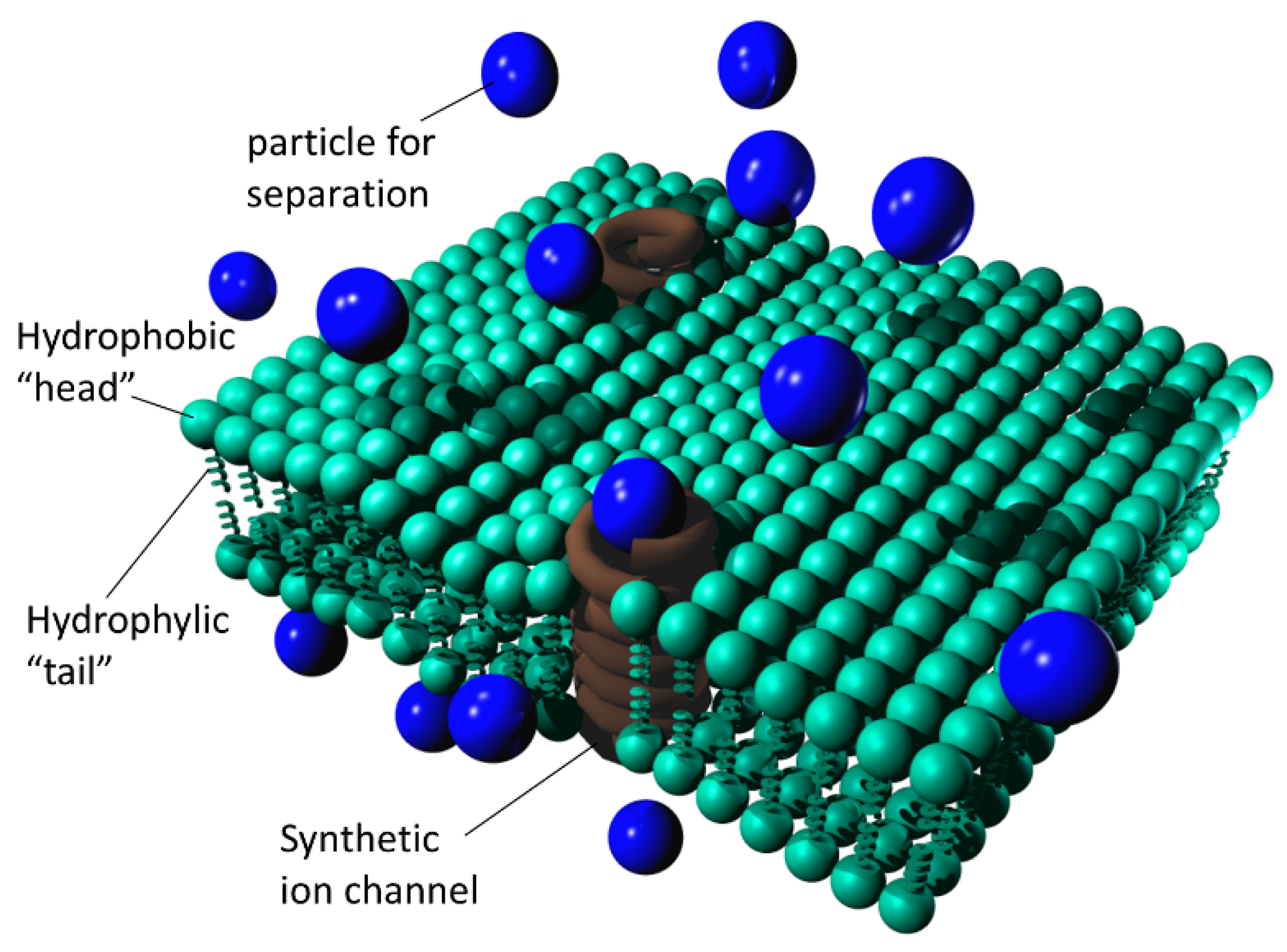 Biomimetics | Free Full-Text | Biomimetic Nanomembranes: An Overview