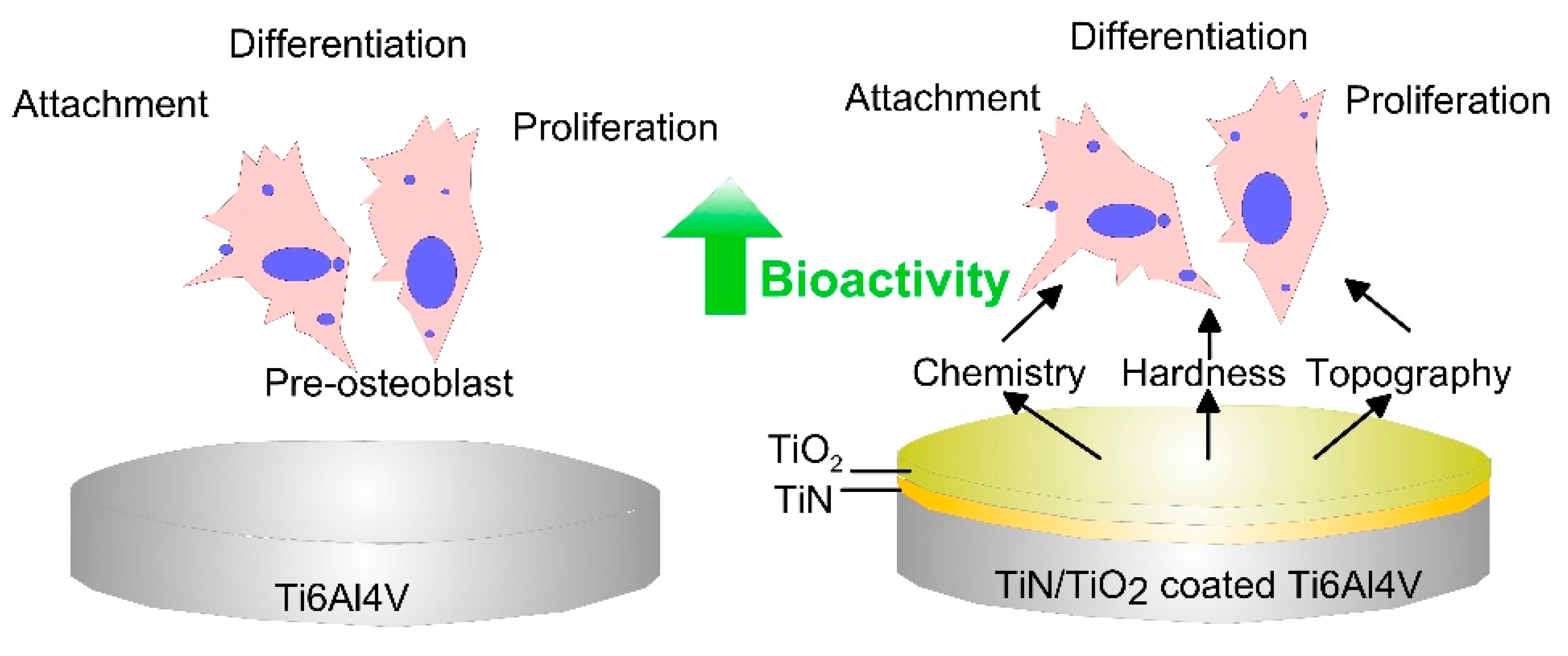Biomimetics Free Full Text Metal Oxide Nanoparticles As