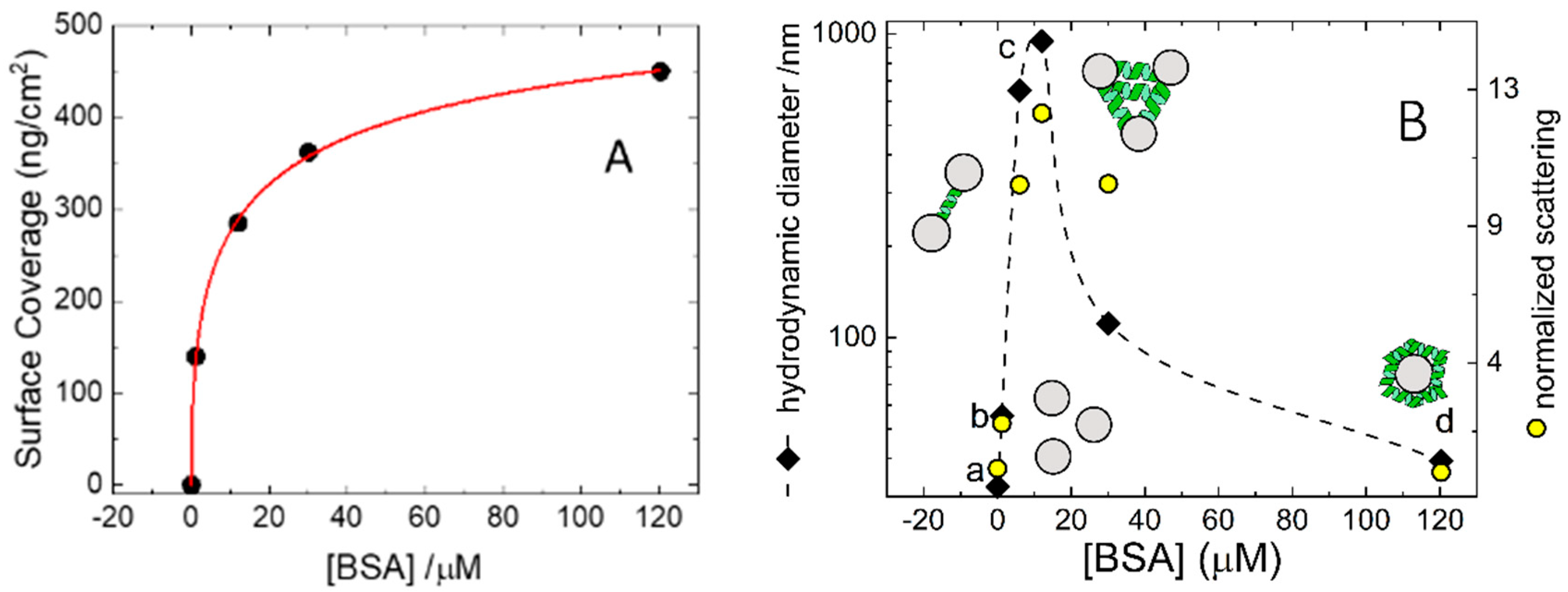 Biomimetics 05 00031 g002