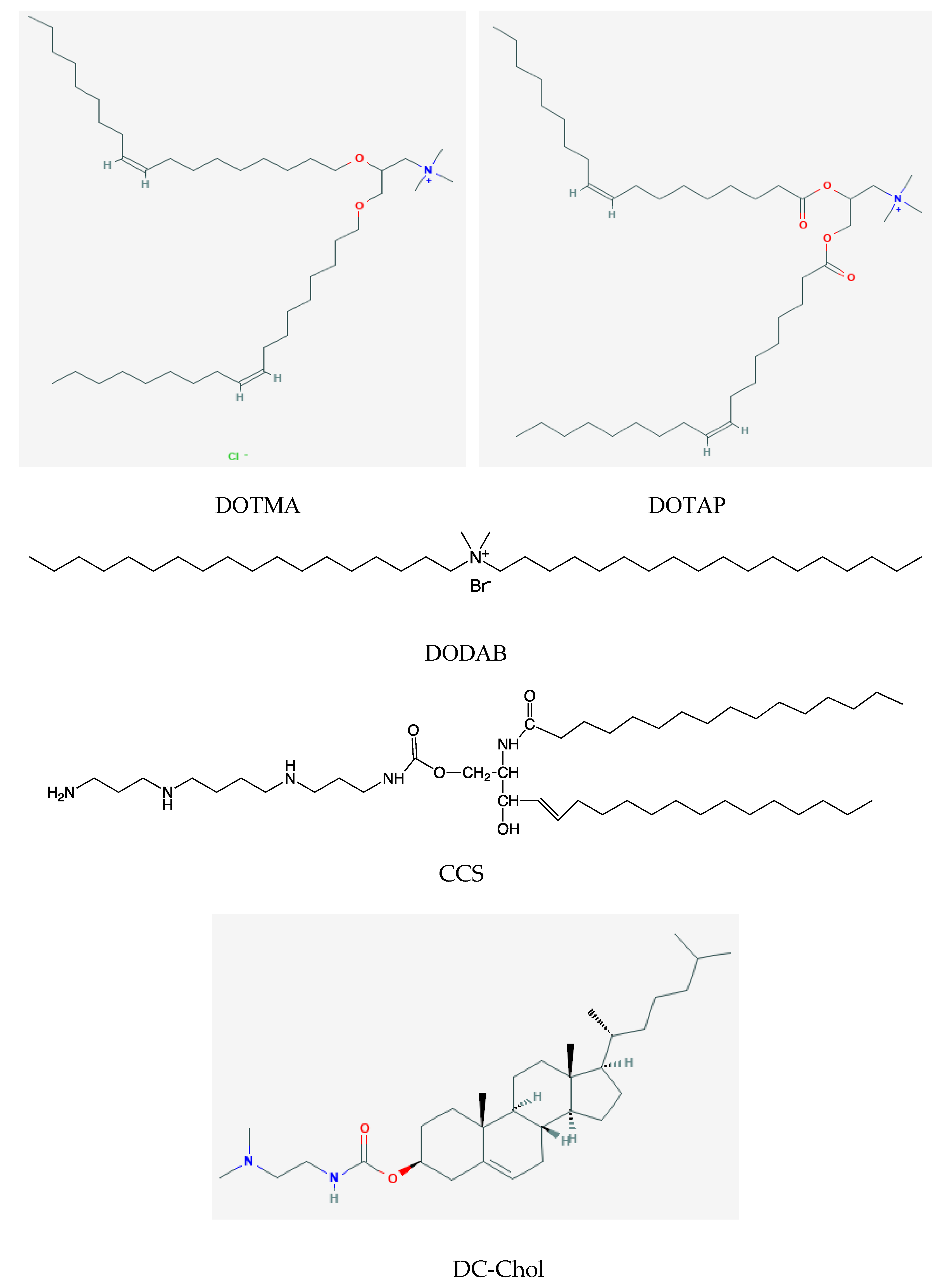 Biomimetics 05 00032 g001