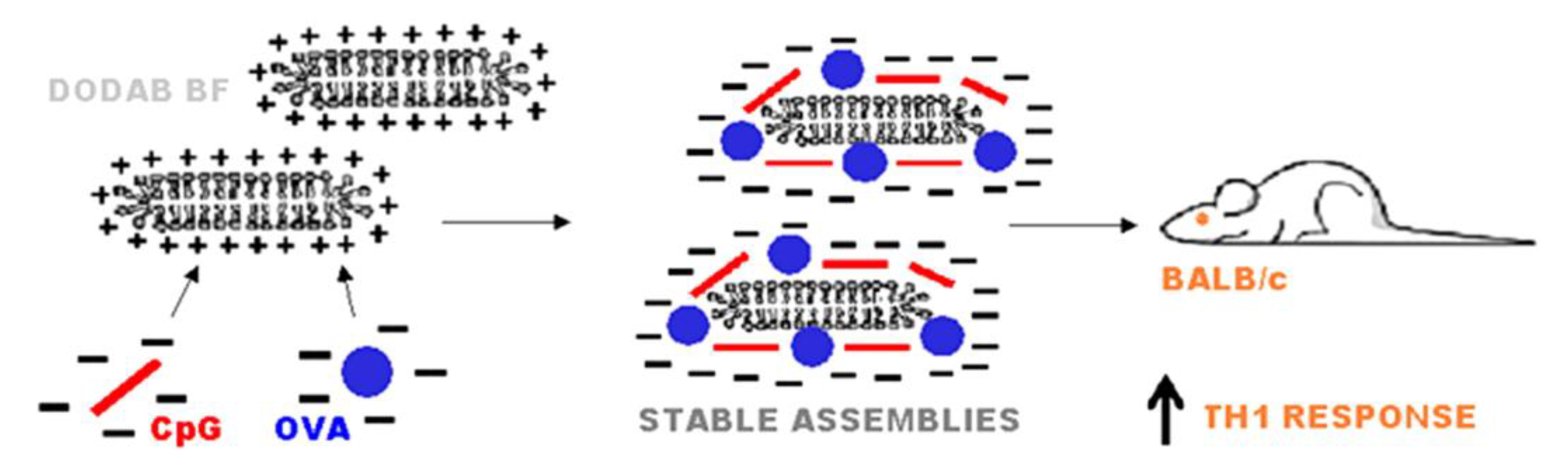 Biomimetics 05 00032 g007