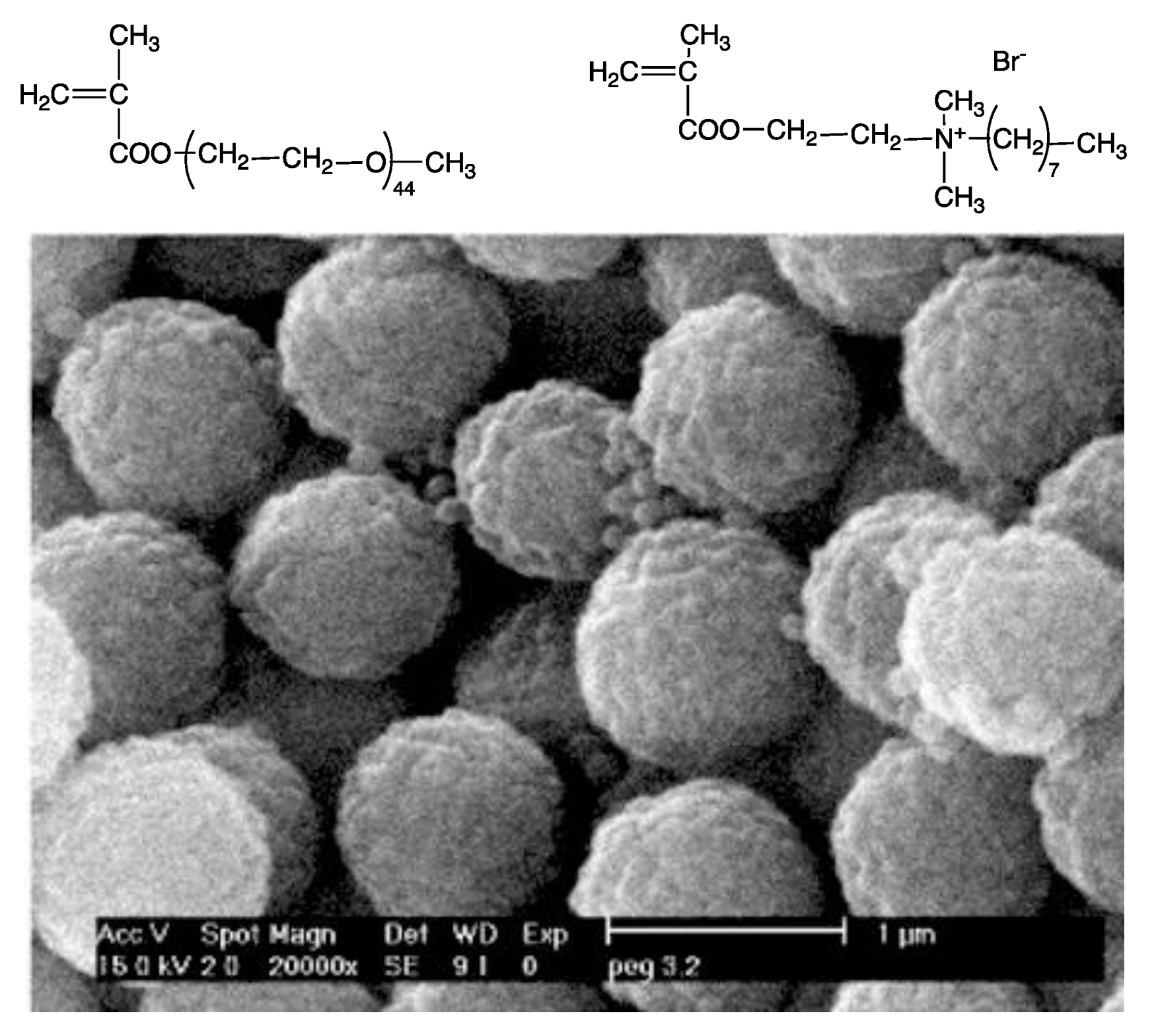 Biomimetics 05 00032 g013