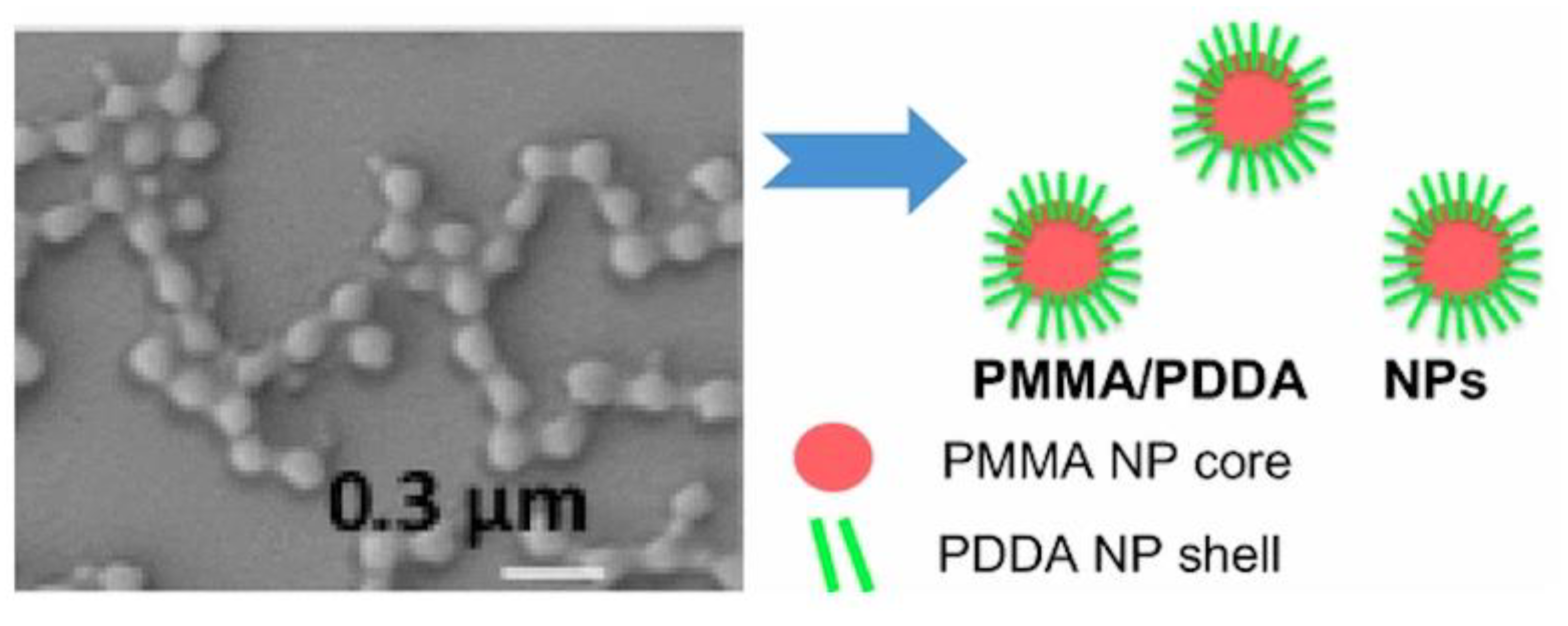 Biomimetics 05 00032 g014