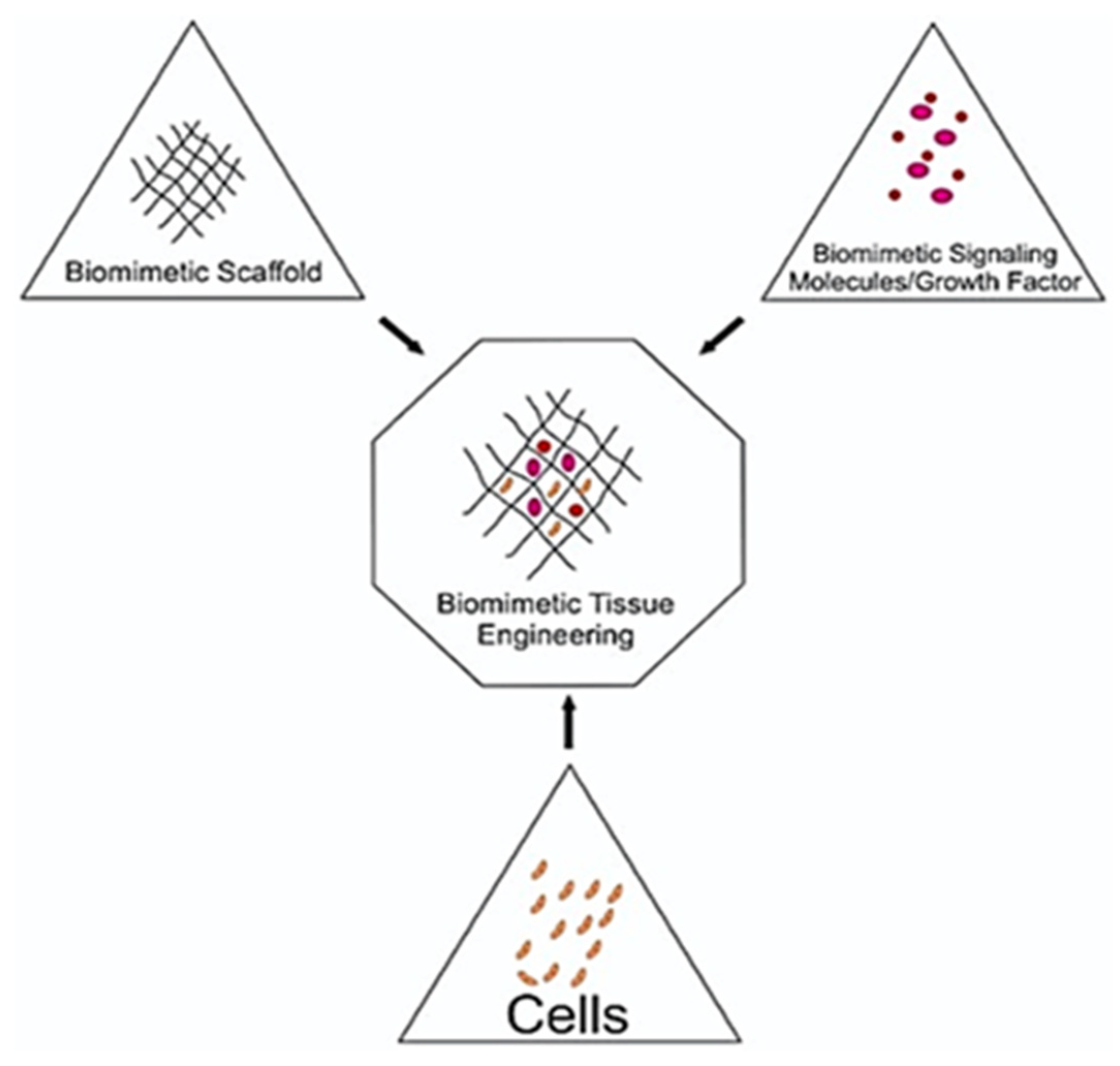 Biomimetics 05 00034 g004 Biomimetics 05 00034 g004
