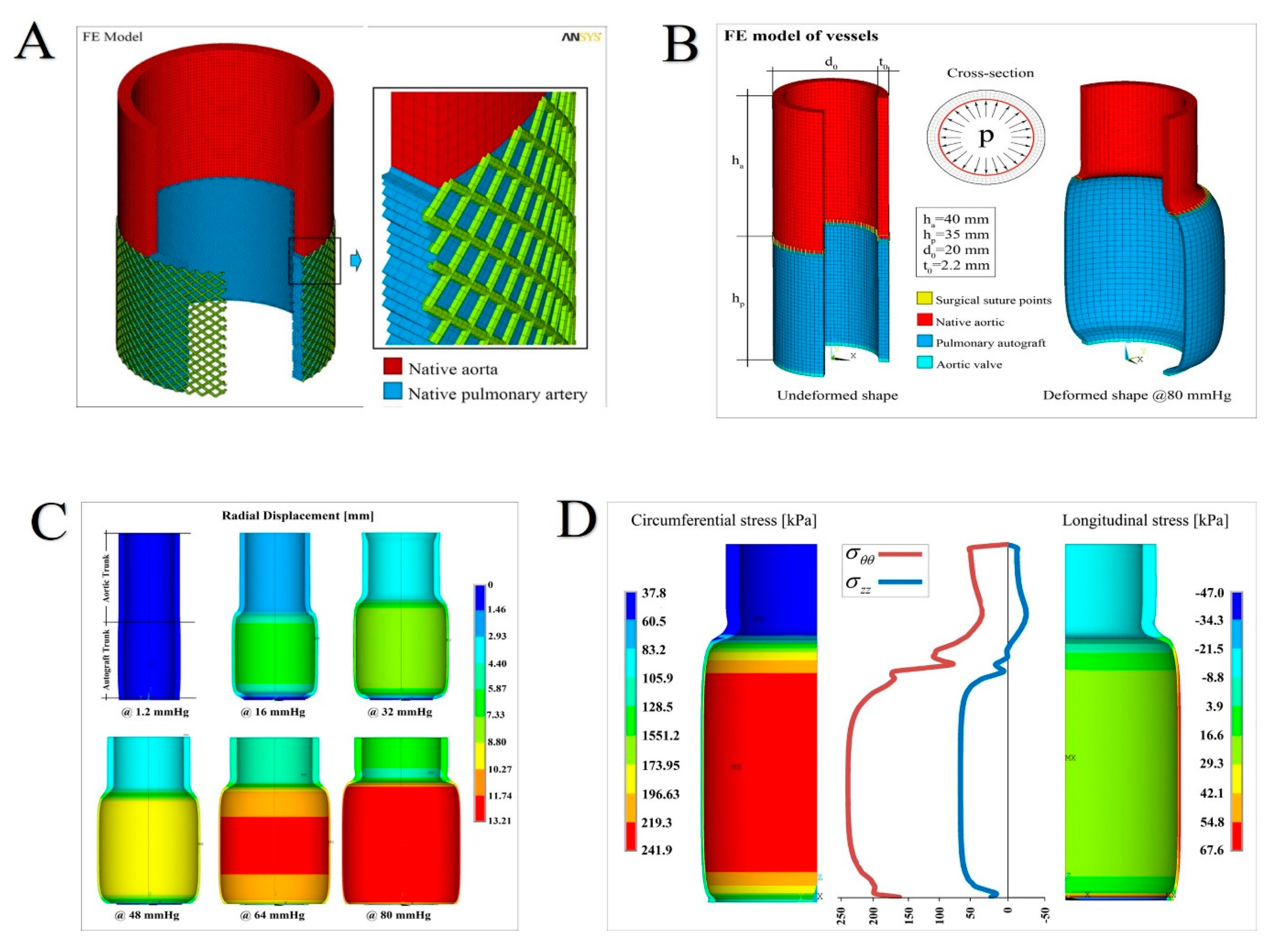 Biomimetics 05 00037 g004