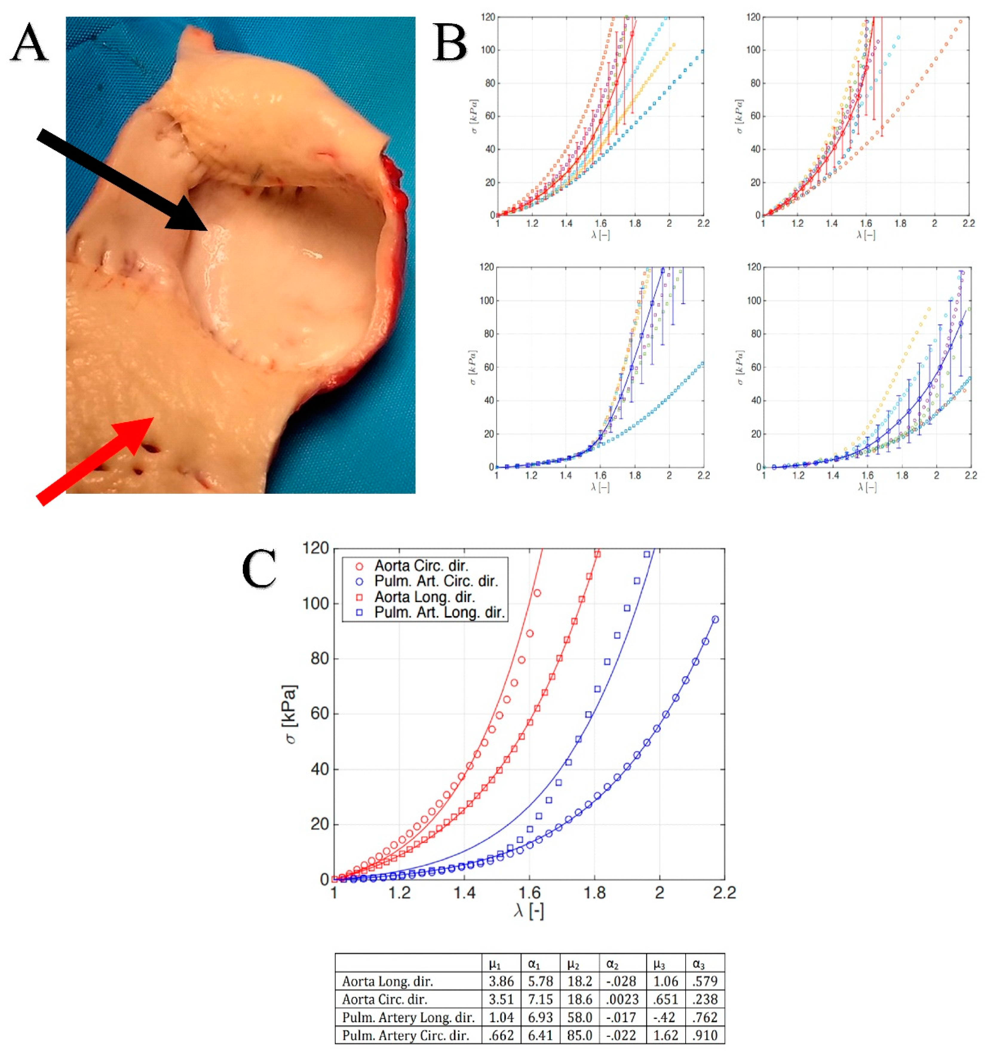 Biomimetics 05 00037 g005